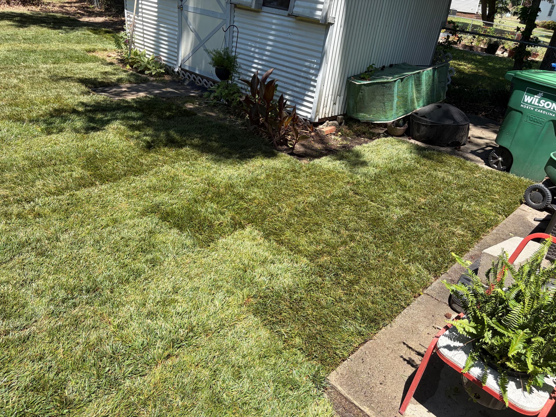 Gallery photos for First Sod Install Complete and We're Proud of This One: Image #3