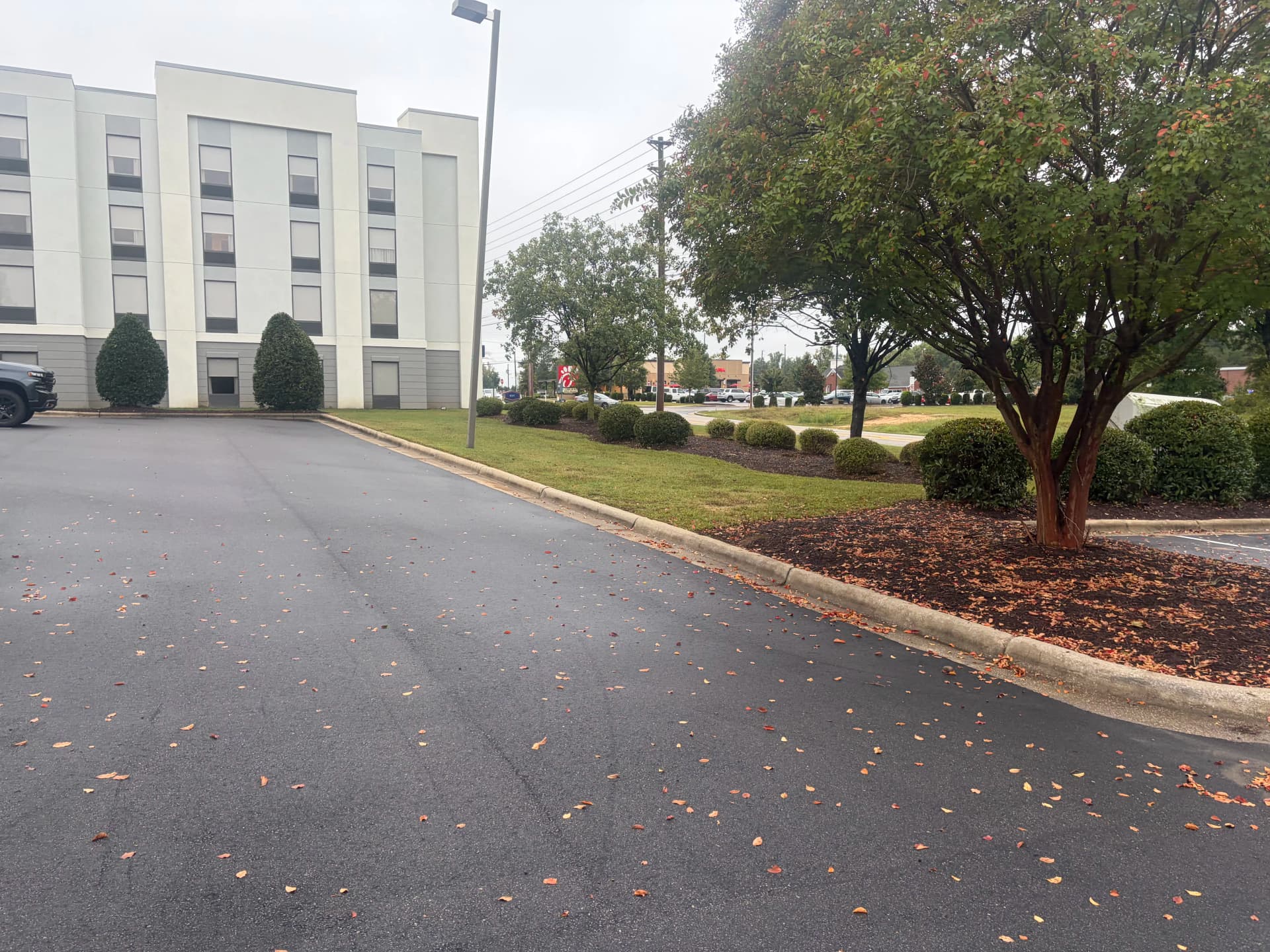 Gallery photos for Hotel Landscape Cleanup With Mulch and Fresh Plantings: Image #5