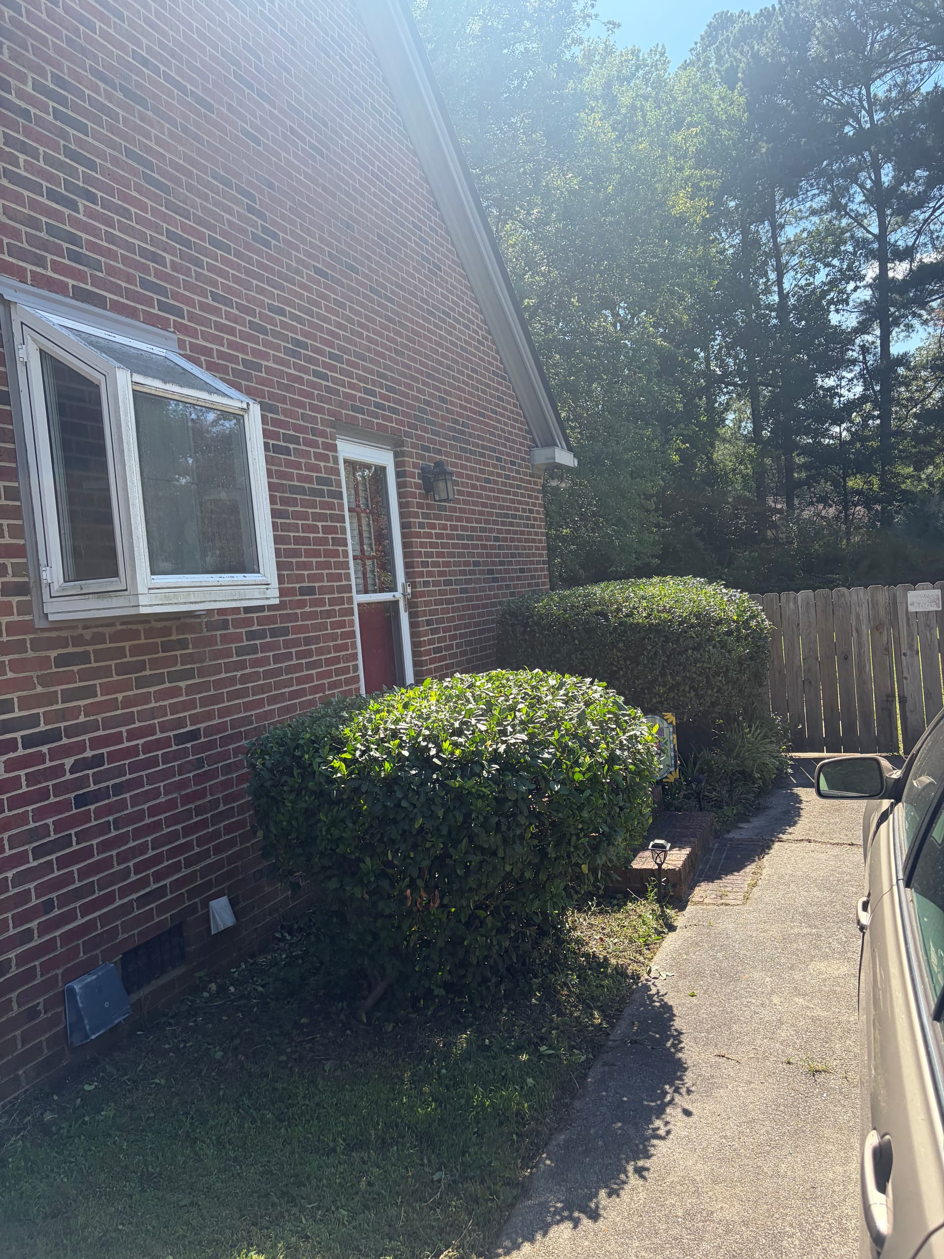 Gallery photos for Shrub Trimming and Yard Cleanup That Makes a Difference: Image #1