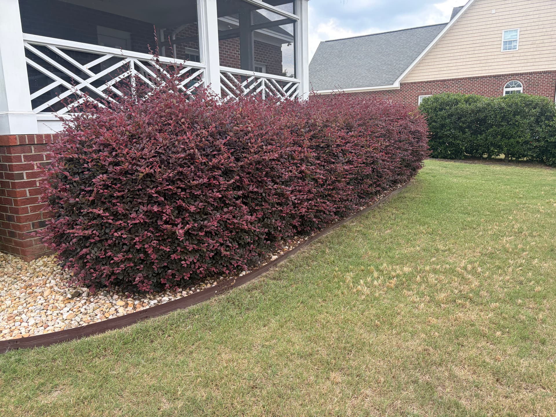 Gallery photos for Shrub Trimming That Actually Makes Your Home Look Sharp: Image #8
