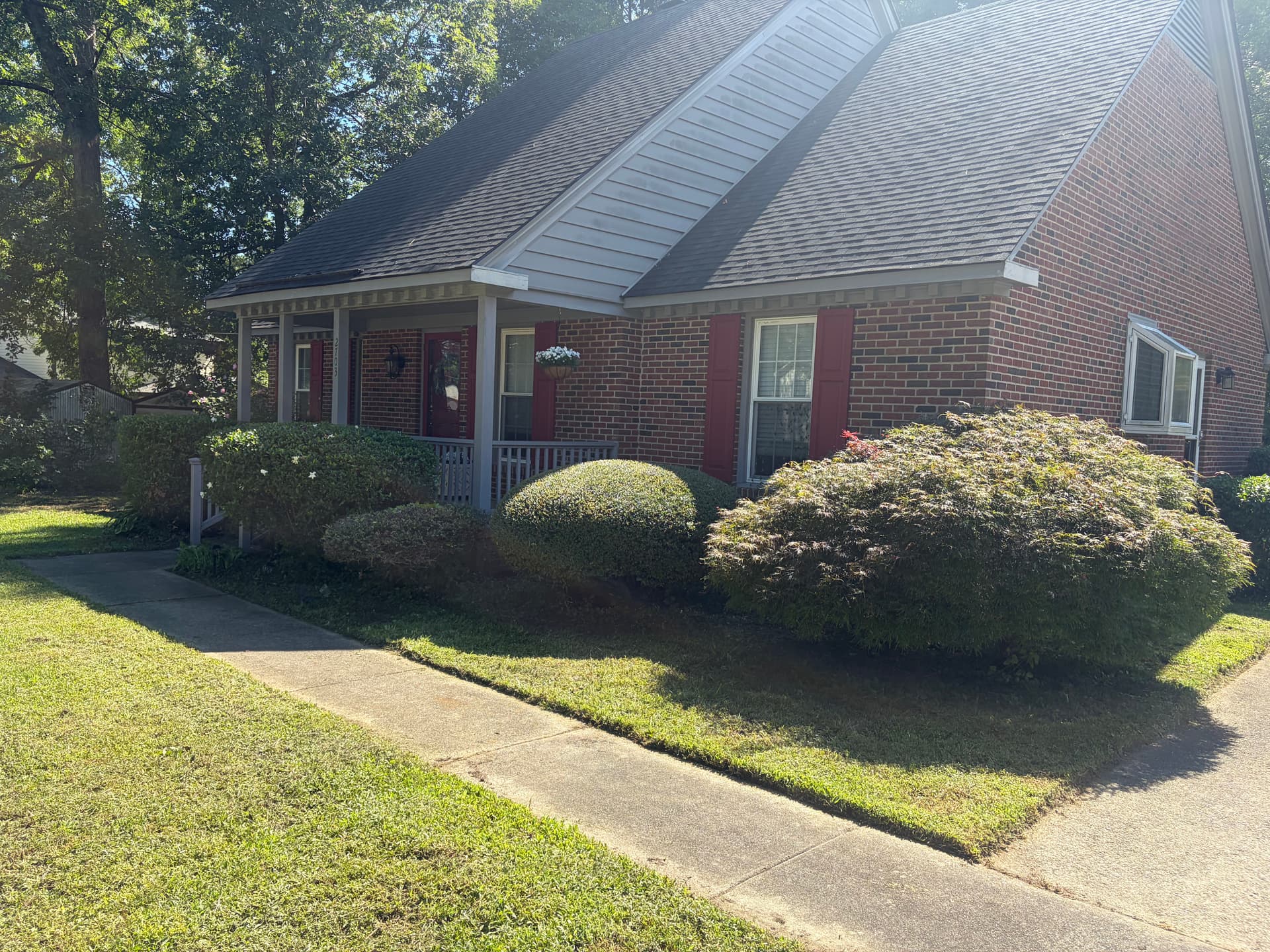Shrub Trimming and Yard Cleanup That Makes a Difference image