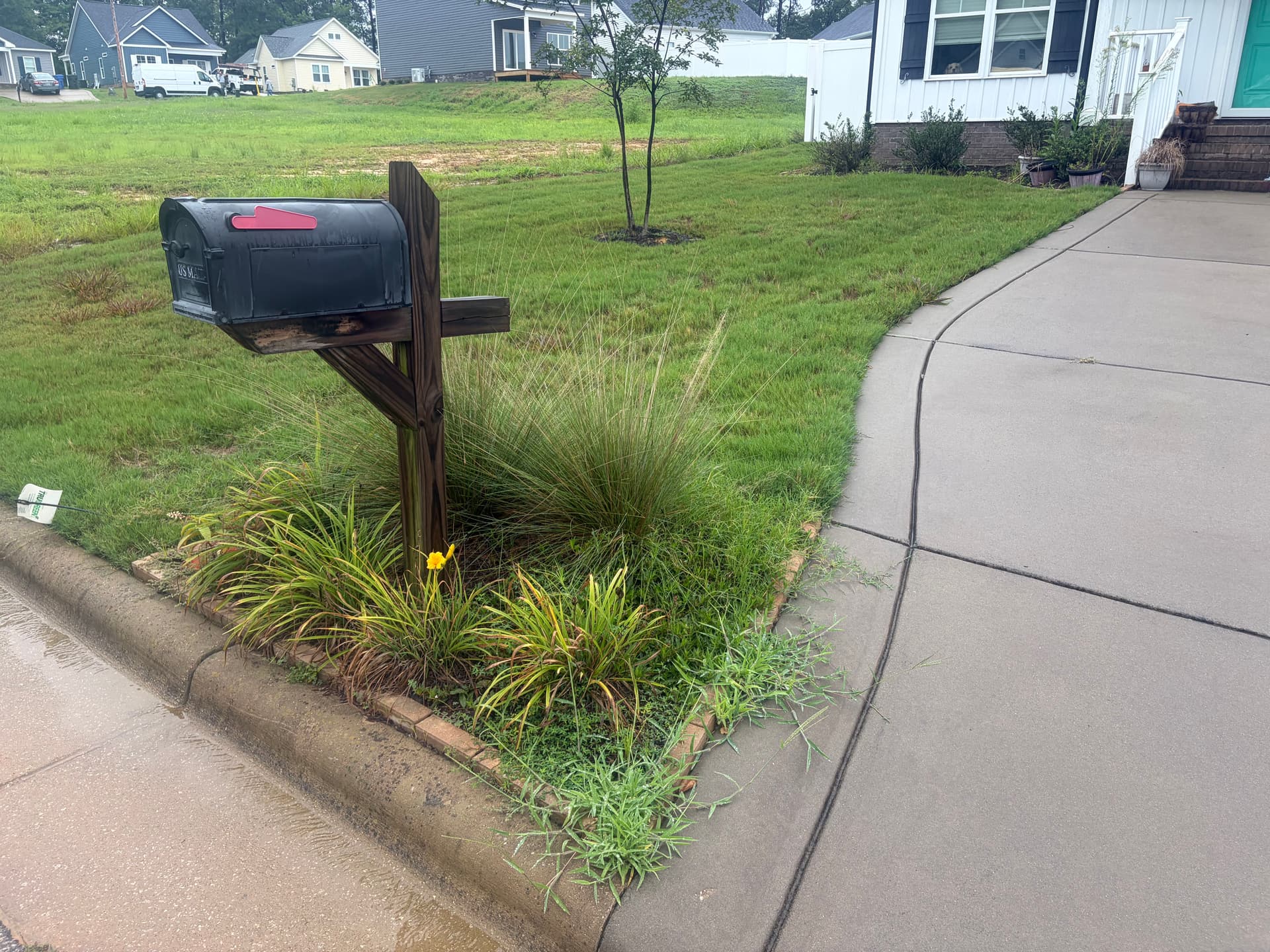 Gallery photos for Fresh Brown Mulch Install That Actually Does Its Job: Image #5