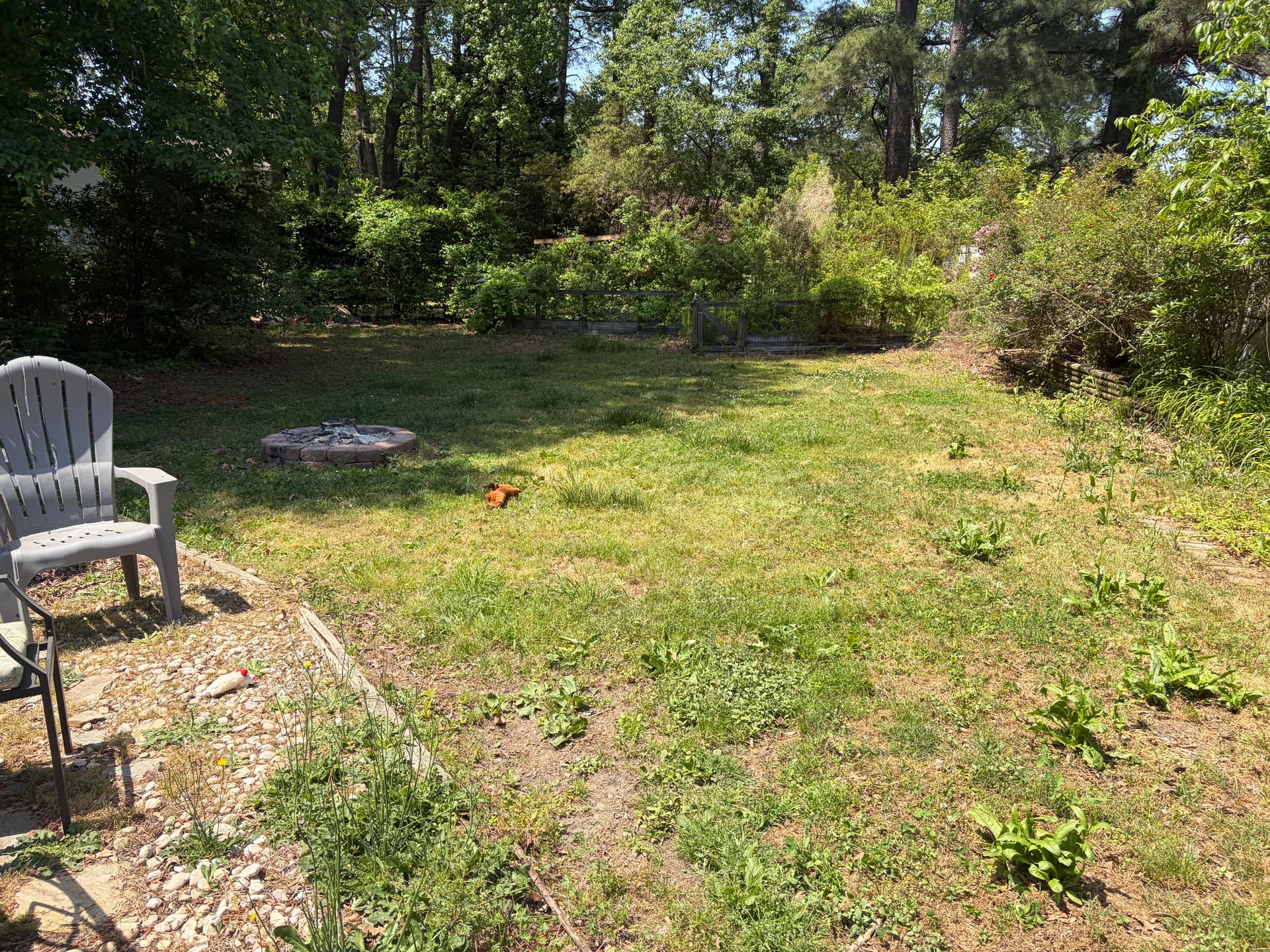 Gallery photos for Full Yard Cleanup Brush Clearing and Pressure Washing in Wilson NC: Image #8