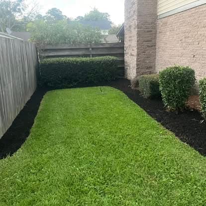 Lush green lawn with neatly trimmed hedges and fresh mulch in a backyard setting.