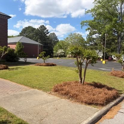 Lawn with trees and pine straw near a brick building under a cloudy blue sky.