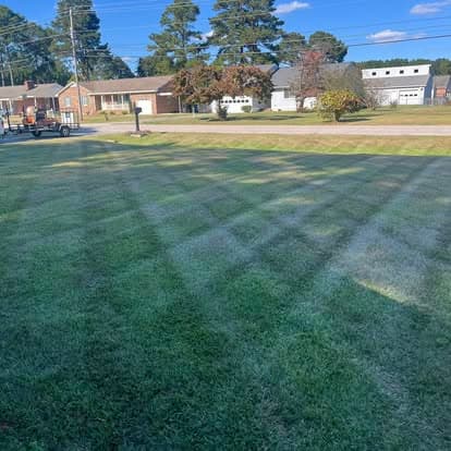 Lawn with striped grass pattern, trees, and houses in the background on a sunny day.