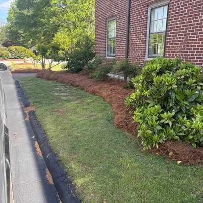 Landscaped yard with brick building, bushes, and freshly laid pine straw mulch.