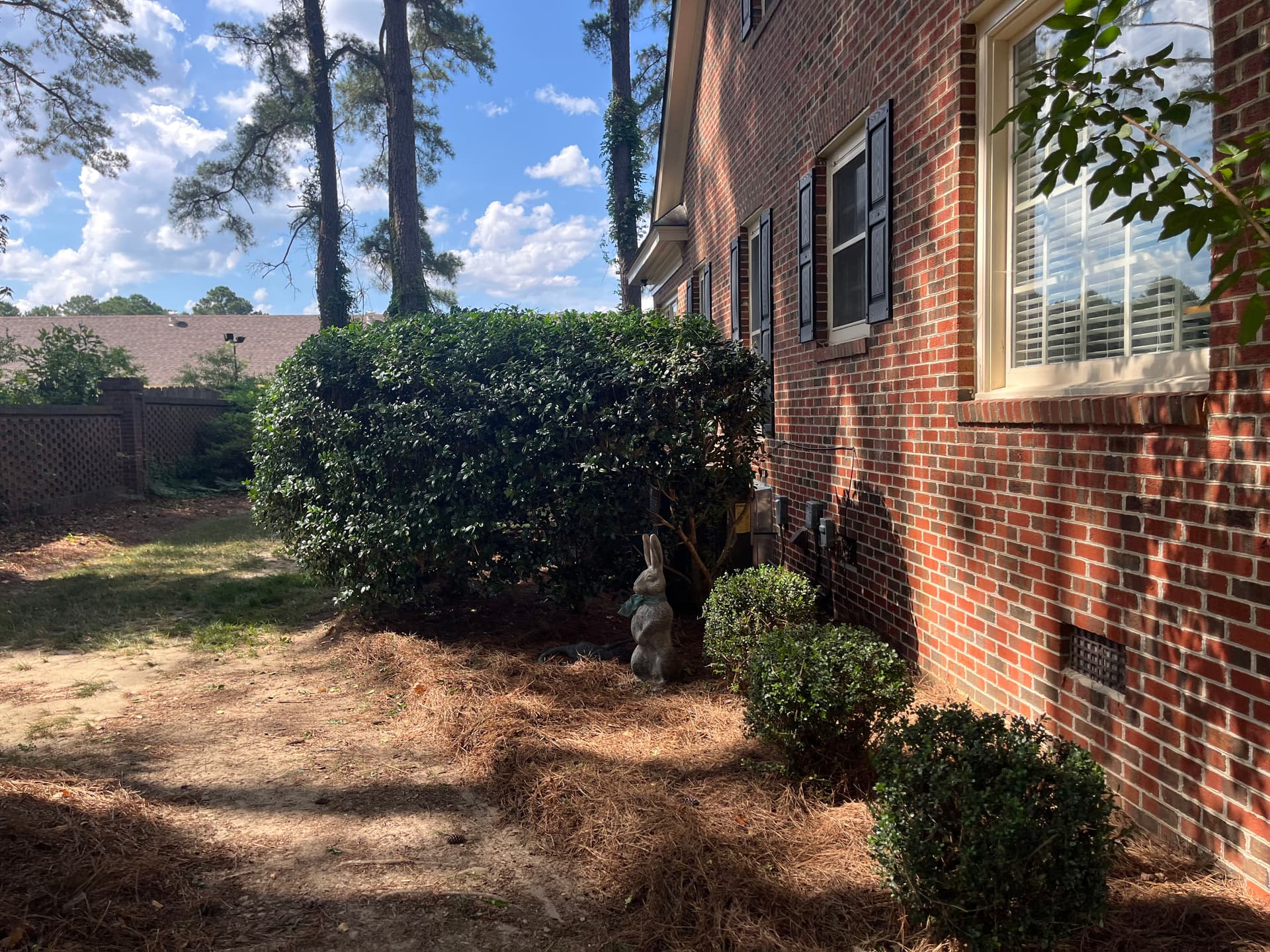 Gallery photos for Wilson NC Townhouse Pressure Washing and Bush Trimming: Image #3