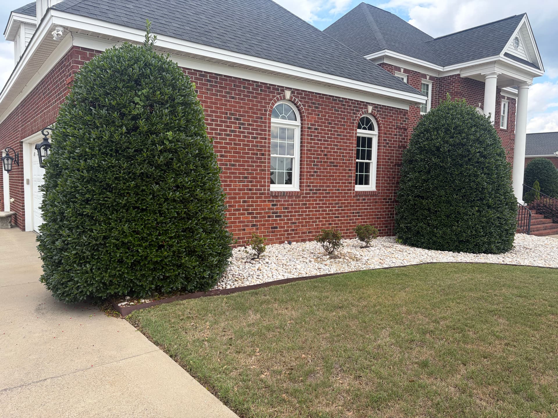 Gallery photos for Shrub Trimming That Actually Makes Your Home Look Sharp: Image #6