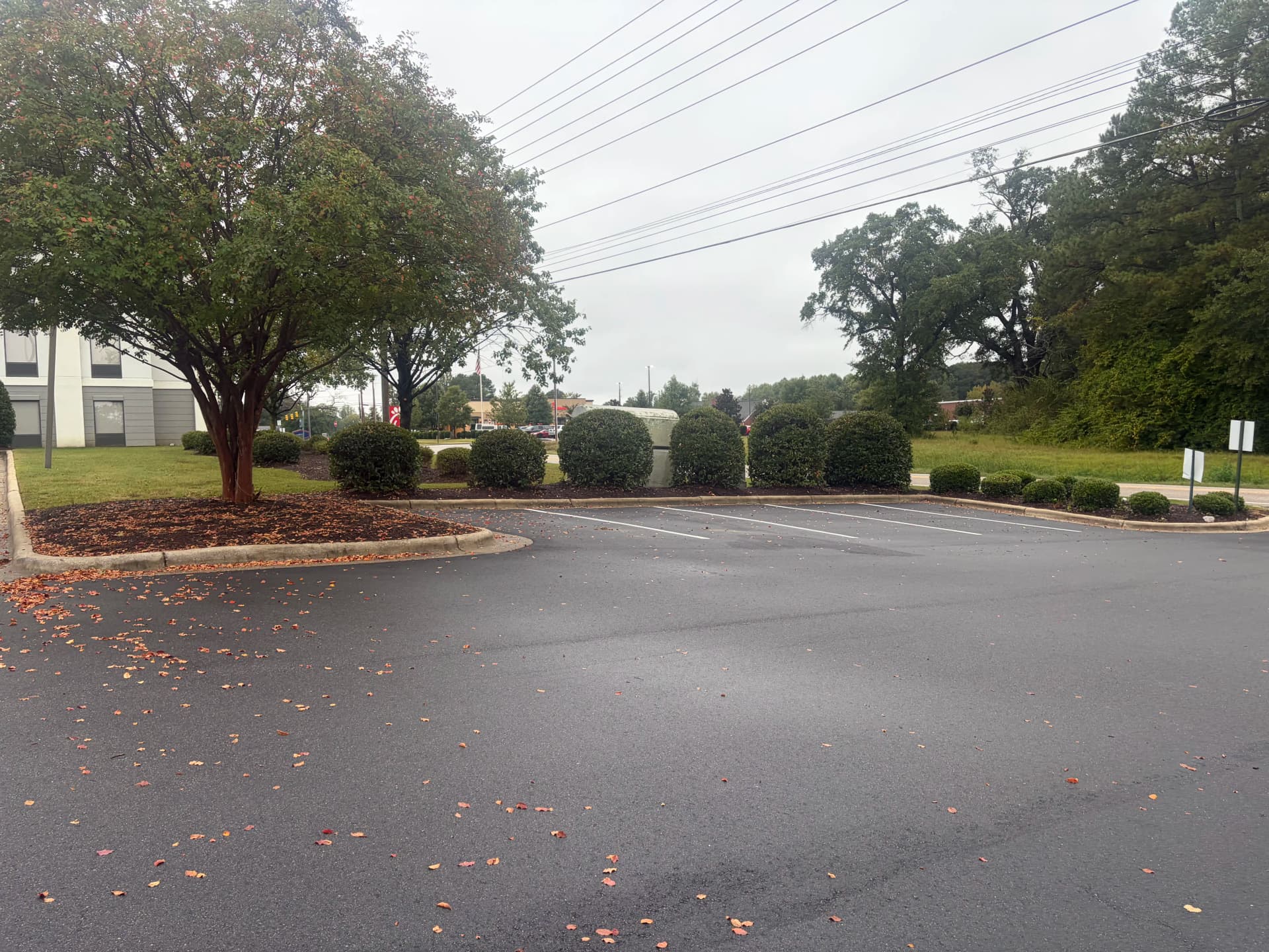 Gallery photos for Hotel Landscape Cleanup With Mulch and Fresh Plantings: Image #7