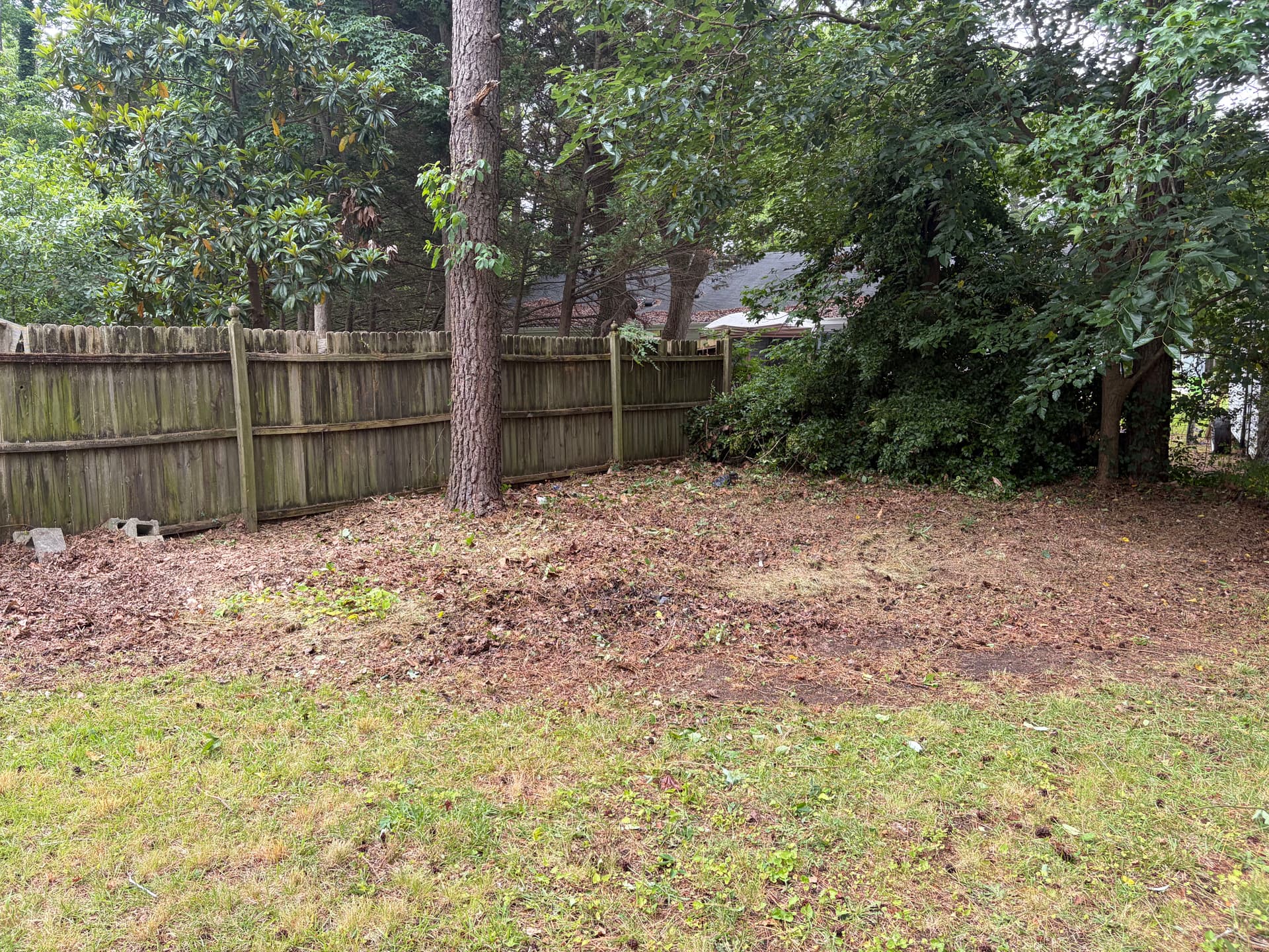 Gallery photos for Fresh Mulch, New Shrubs, and Clean Beds That Actually Look Good: Image #4
