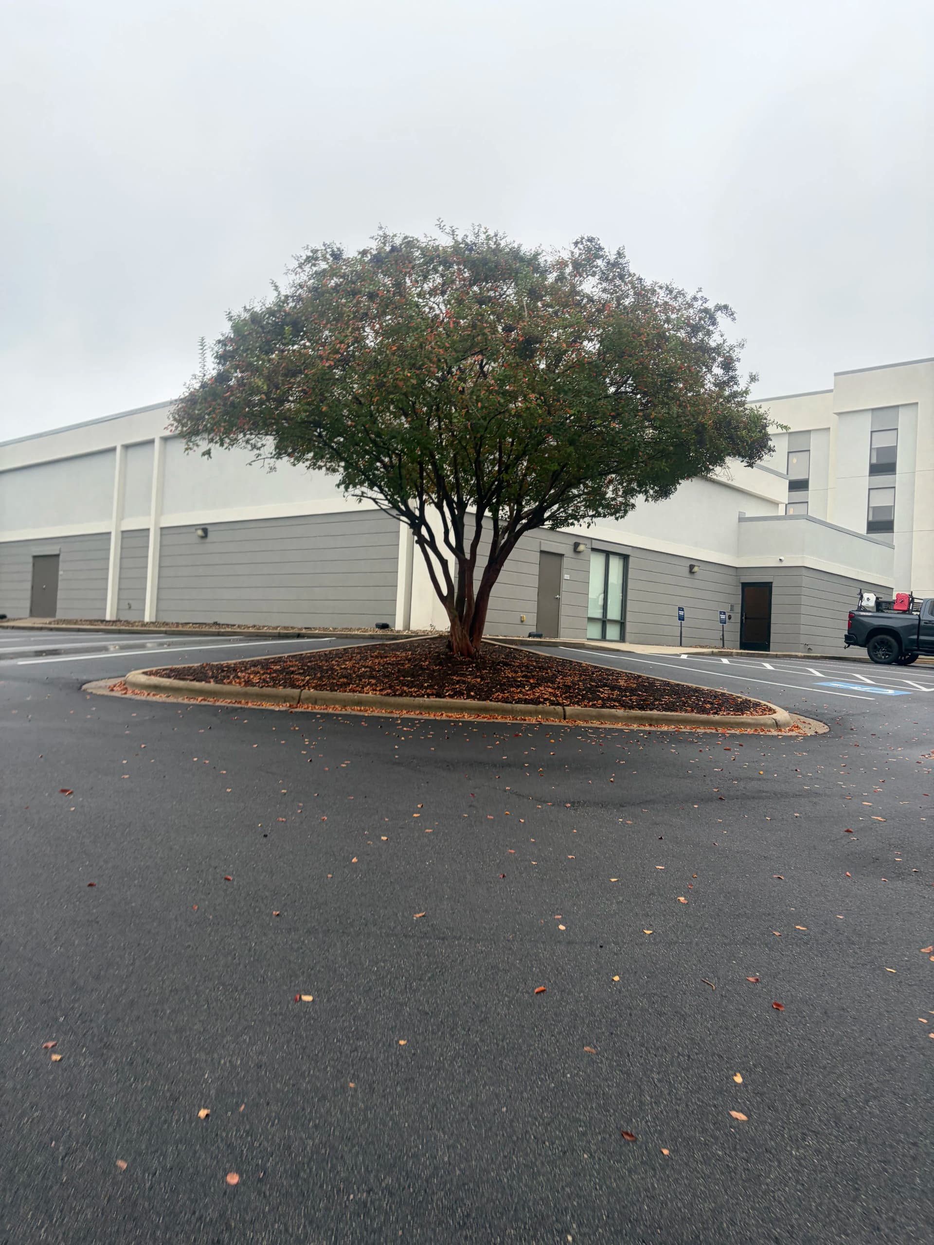 Gallery photos for Hotel Landscape Cleanup With Mulch and Fresh Plantings: Image #9