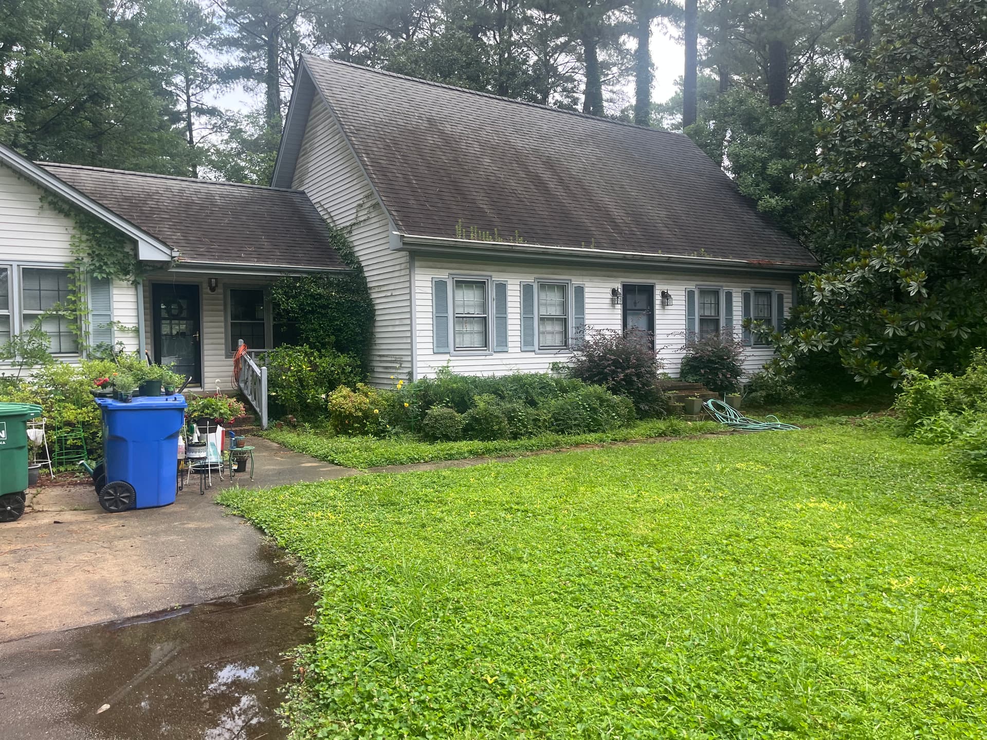 Gallery photos for Full Yard Cleanup and Soft Wash in Wilson NC: Image #7