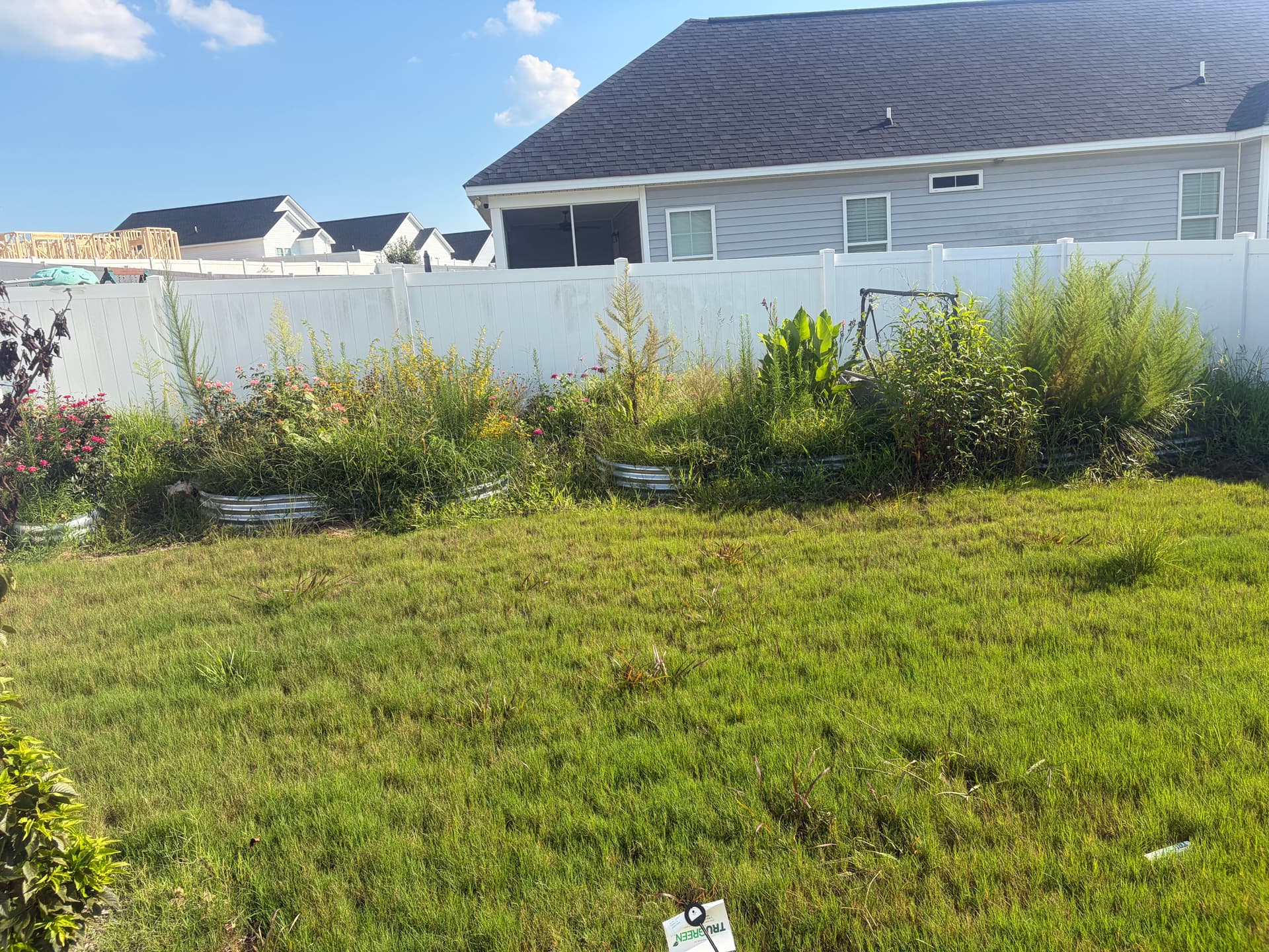 Backyard Cleanup and Black Mulch Installation That Actually Made a Difference image