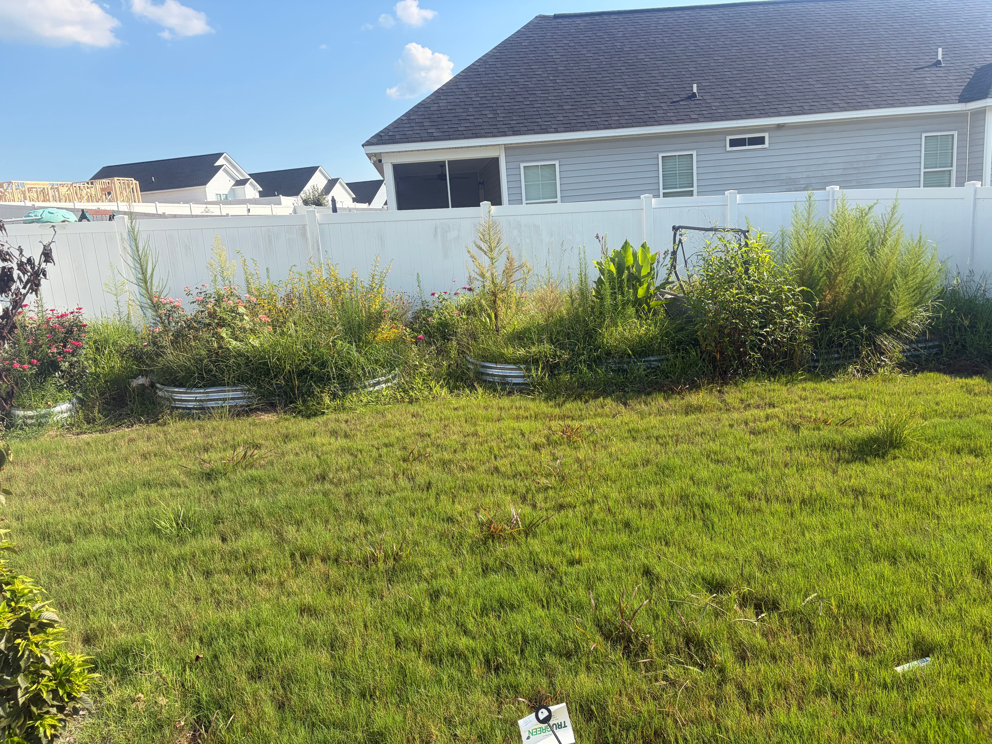 Project Backyard Cleanup and Black Mulch Installation That Actually Made a Difference image