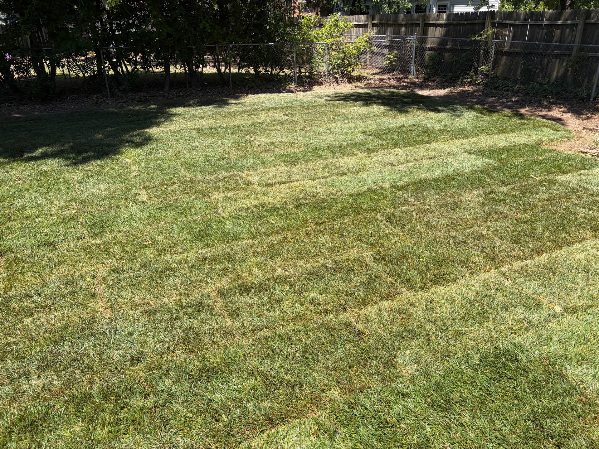 Gallery photos for First Sod Install Complete and We're Proud of This One: Image #1