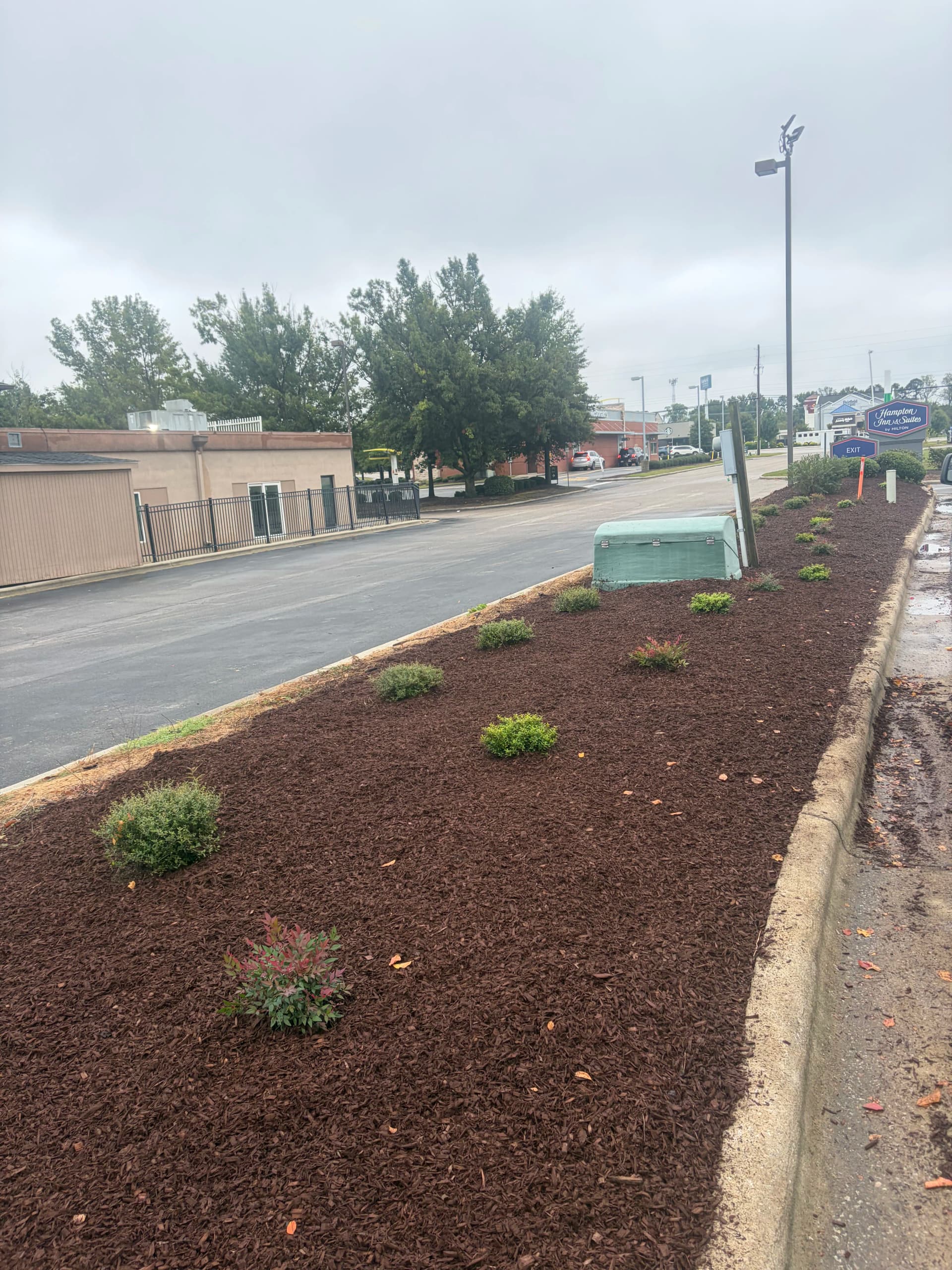 Gallery photos for Hotel Landscape Cleanup With Mulch and Fresh Plantings: Image #2