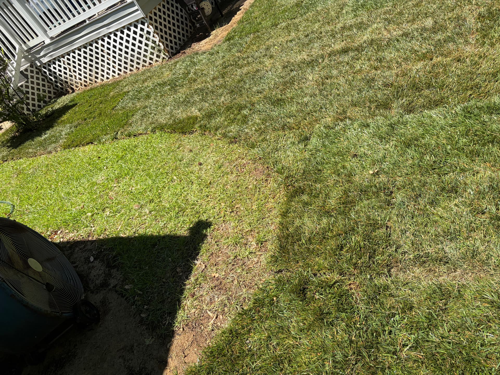 Gallery photos for First Sod Install Complete and We're Proud of This One: Image #2