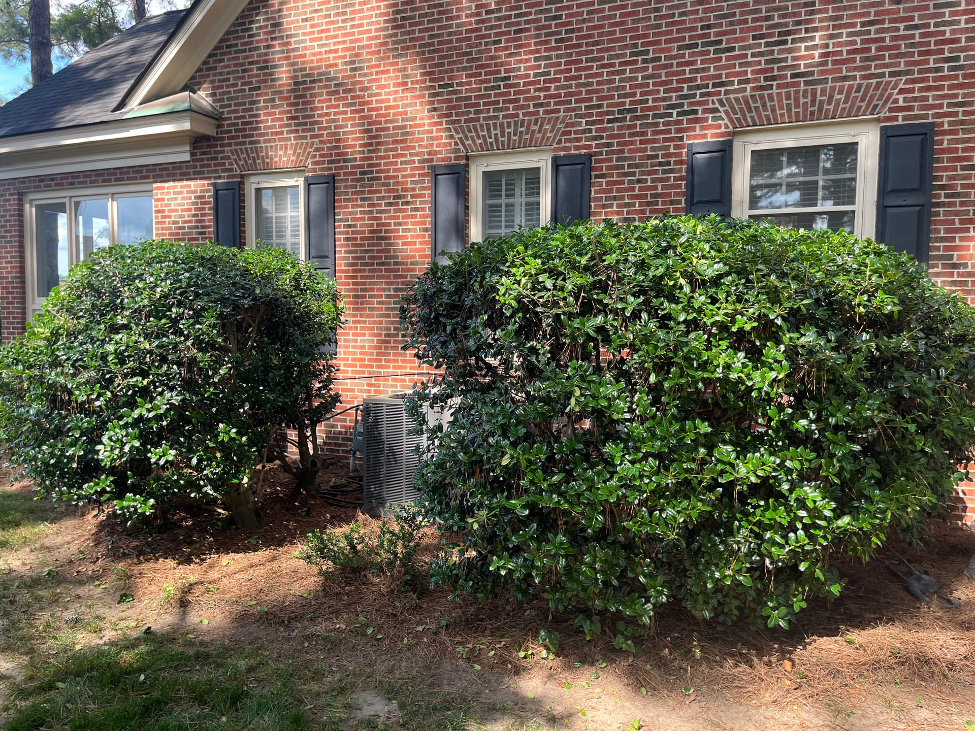 Gallery photos for Wilson NC Townhouse Pressure Washing and Bush Trimming: Image #6
