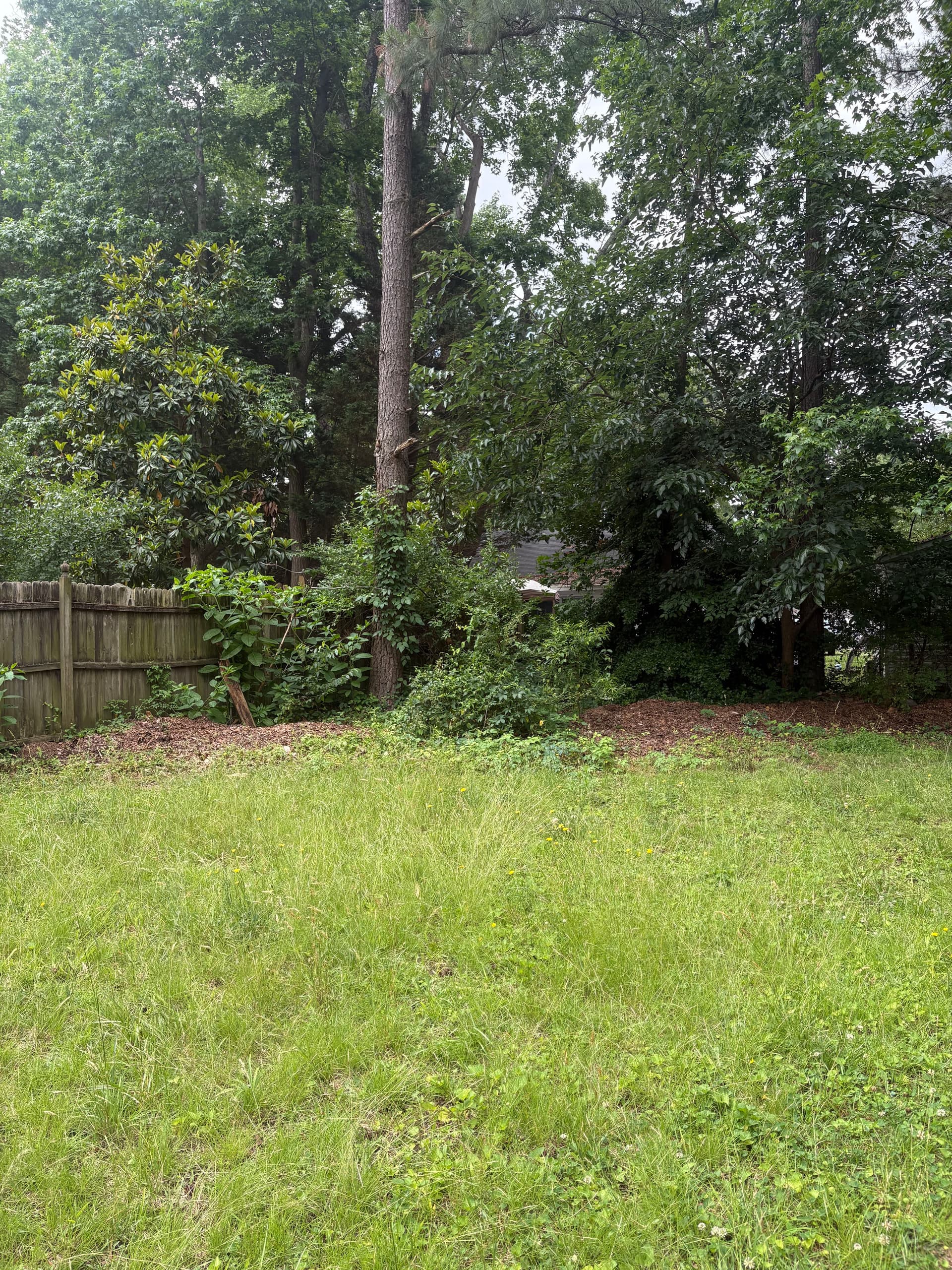Gallery photos for Fresh Mulch, New Shrubs, and Clean Beds That Actually Look Good: Image #9