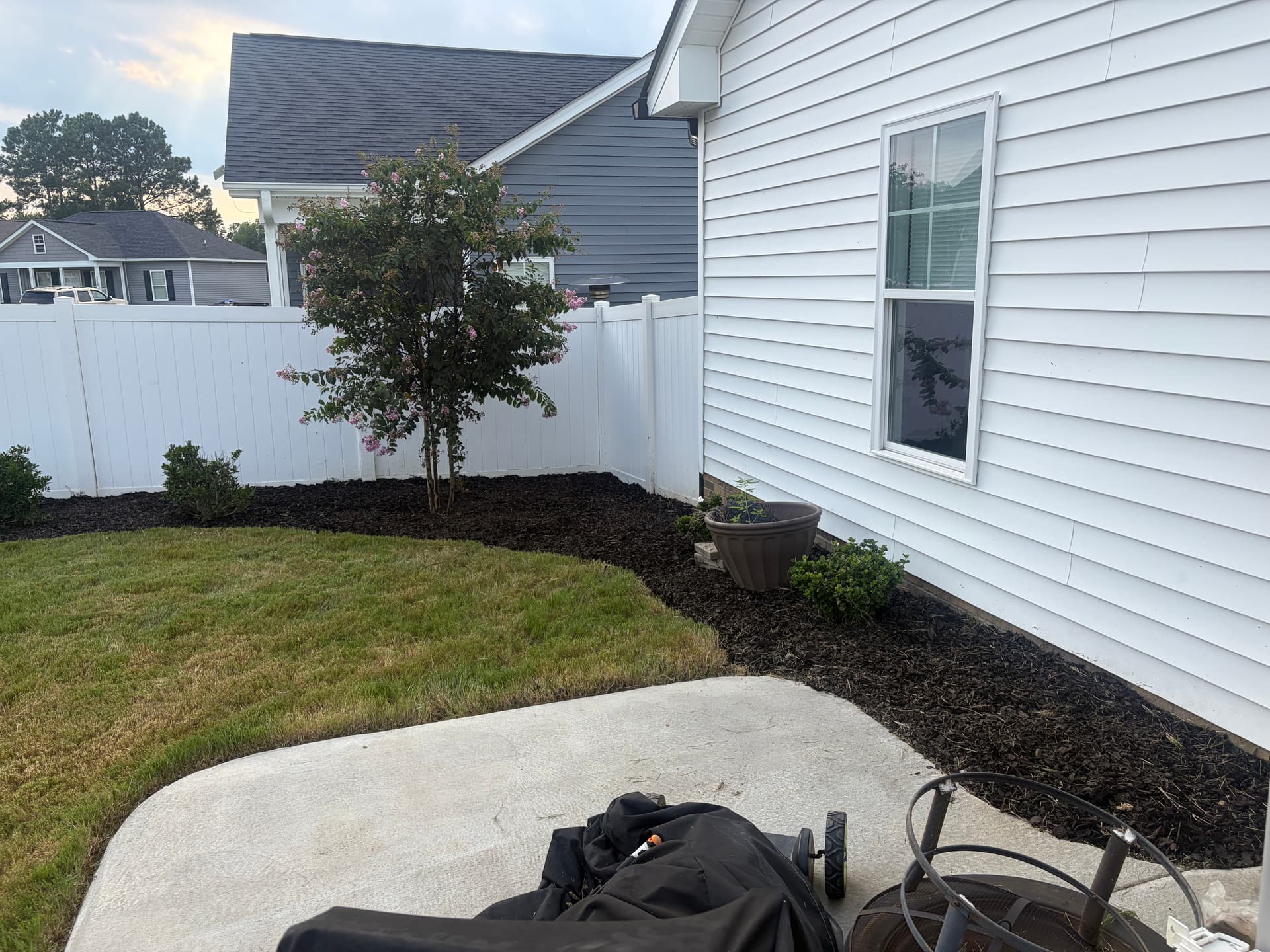 Gallery photos for Backyard Cleanup and Black Mulch Installation That Actually Made a Difference: Image #2