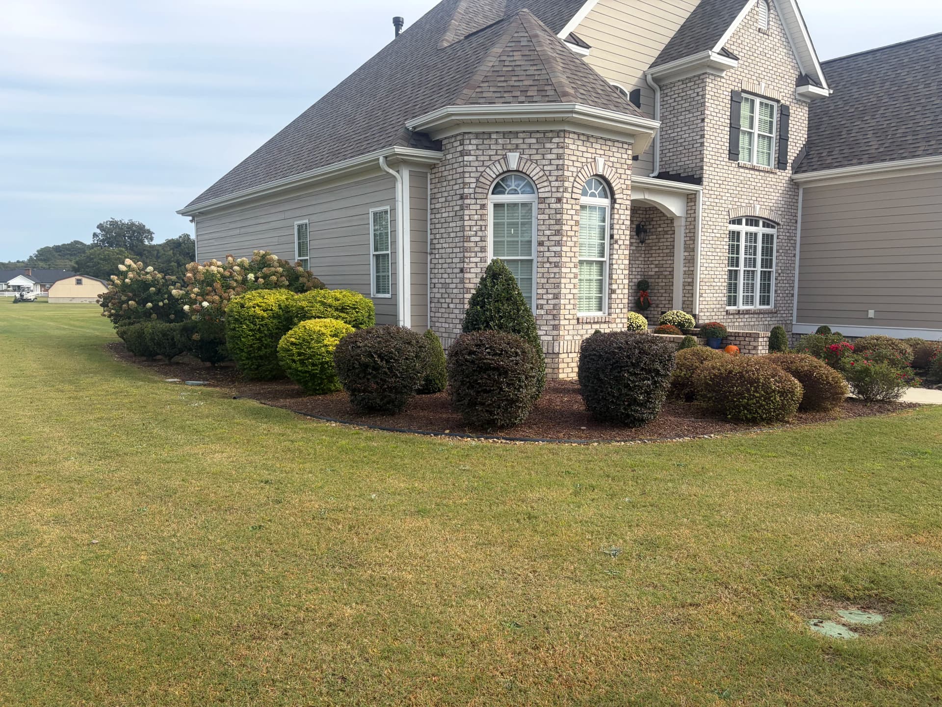 Gallery photos for Shrub Trimming and Planting Cleanup Around a Pool Backyard: Image #3