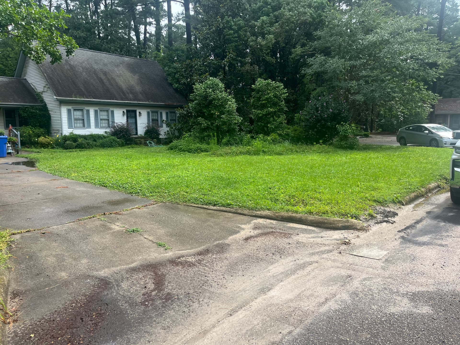 Gallery photos for Full Yard Cleanup and Soft Wash in Wilson NC: Image #8