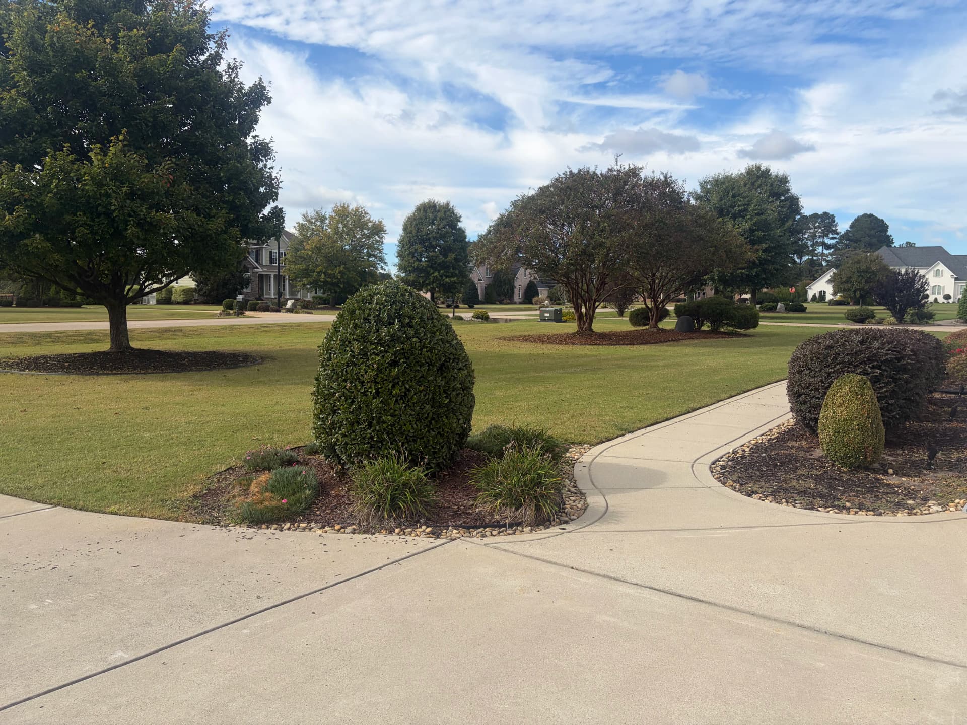 Gallery photos for Shrub Trimming and Planting Cleanup Around a Pool Backyard: Image #5