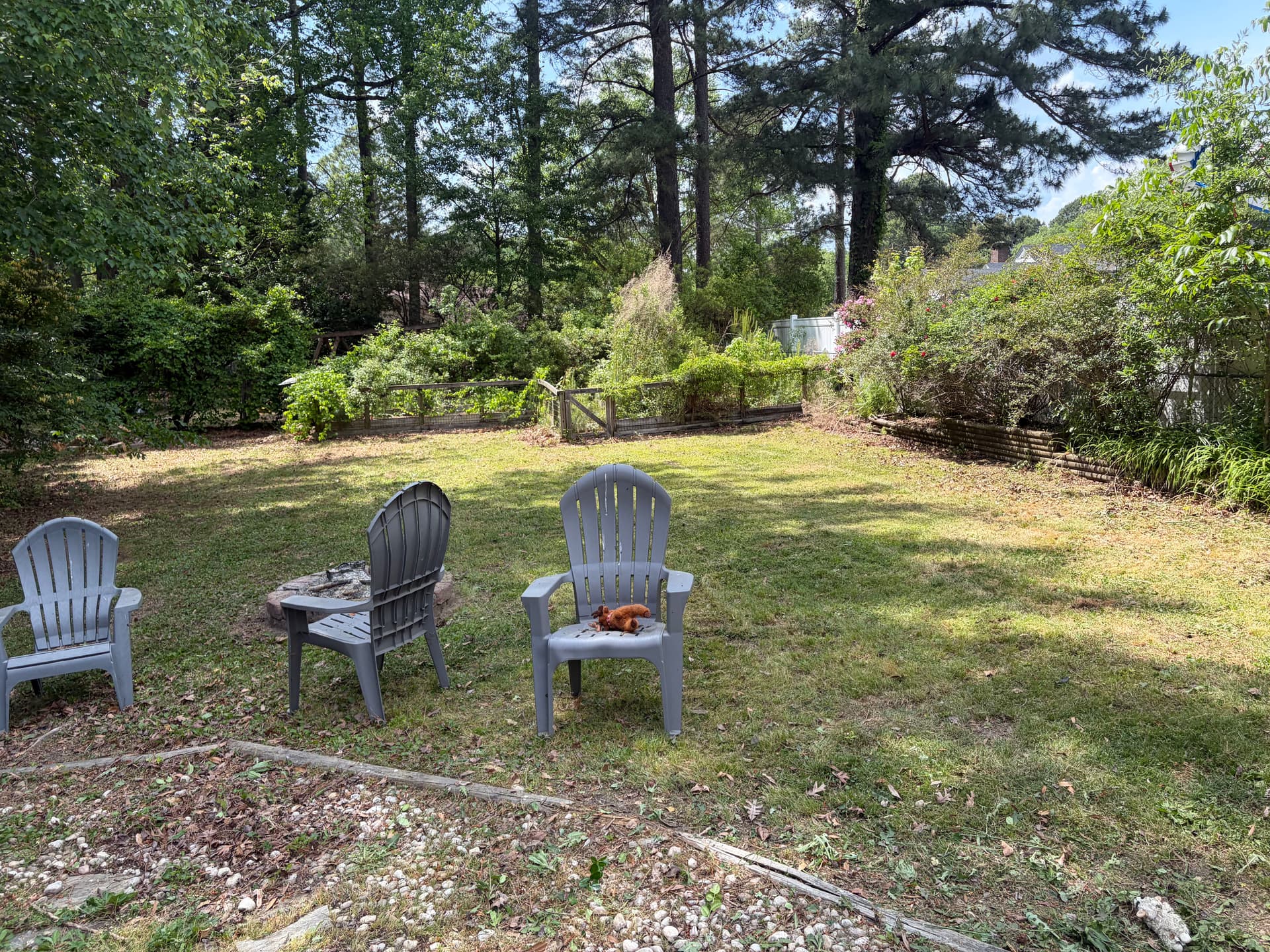 Gallery photos for Full Yard Cleanup Brush Clearing and Pressure Washing in Wilson NC: Image #5