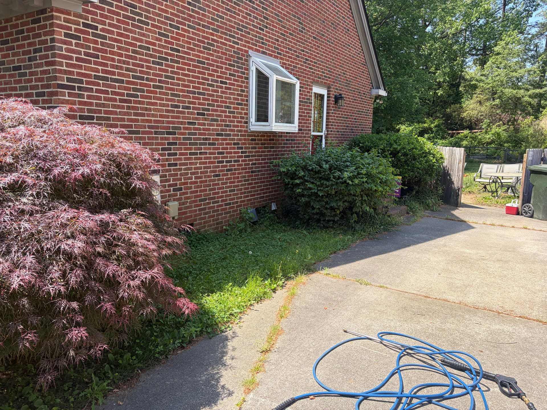 Gallery photos for Full Yard Cleanup Brush Clearing and Pressure Washing in Wilson NC: Image #7