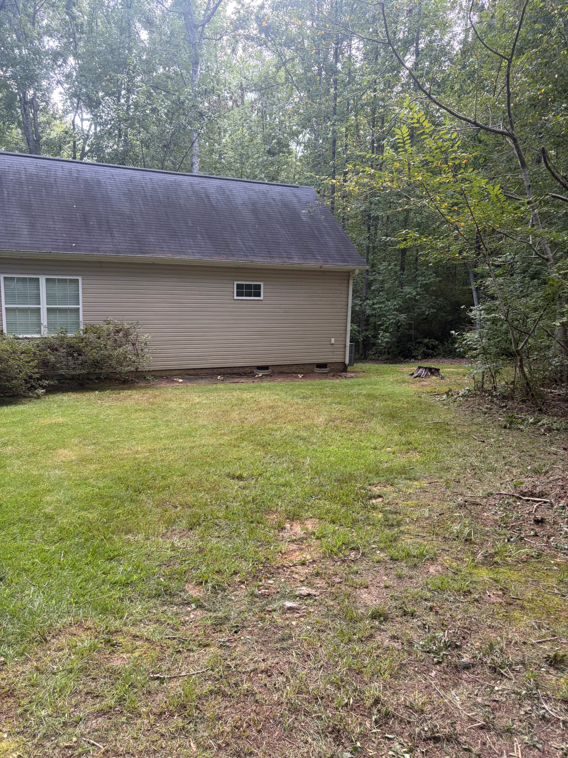 Gallery photos for Wooded Property Cleanup Gets a Serious Fresh Start: Image #1