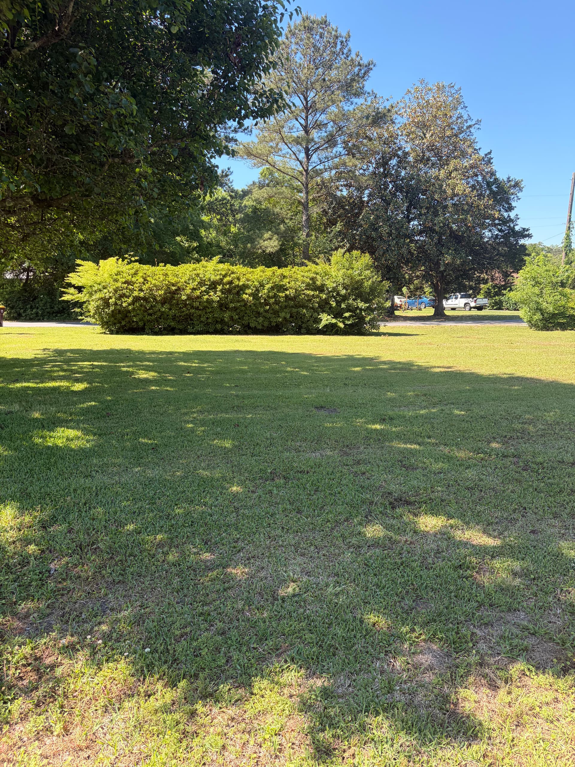 Gallery photos for Shrub Trimming and Fresh Pine Straw Cleanup in Castle Hayne: Image #7