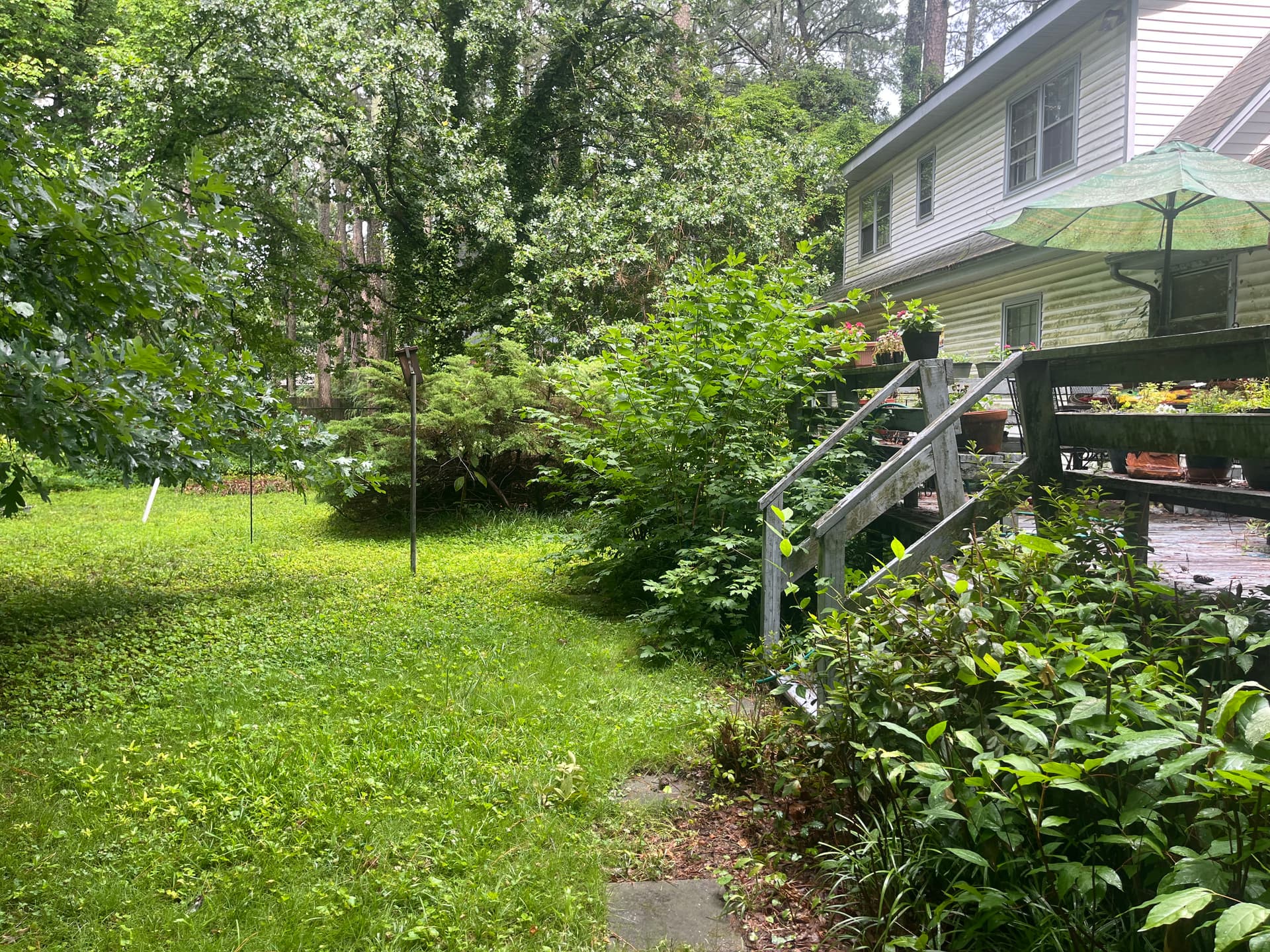 Gallery photos for Full Yard Cleanup and Soft Wash in Wilson NC: Image #9