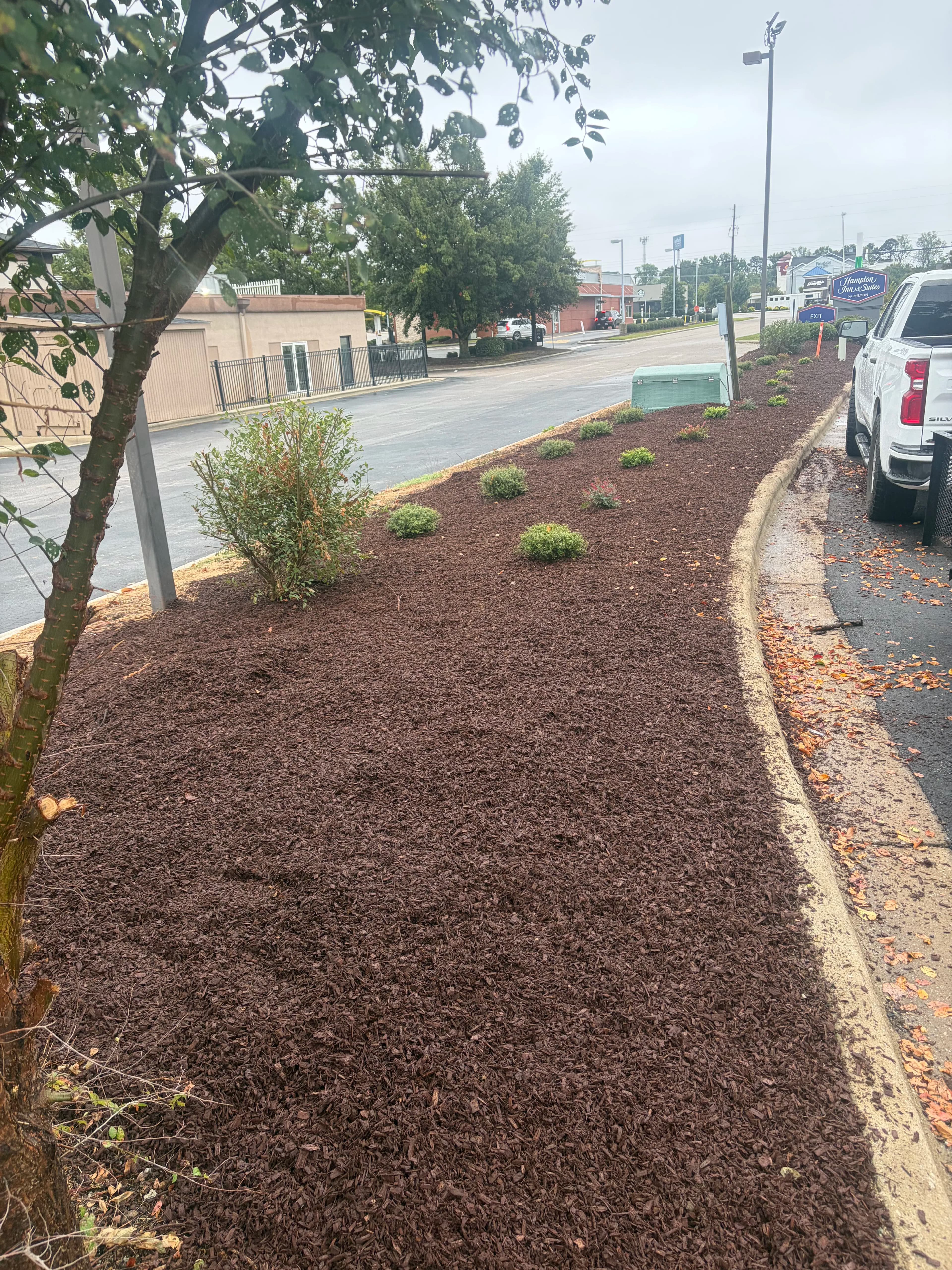 Project Hotel Landscape Cleanup With Mulch and Fresh Plantings image