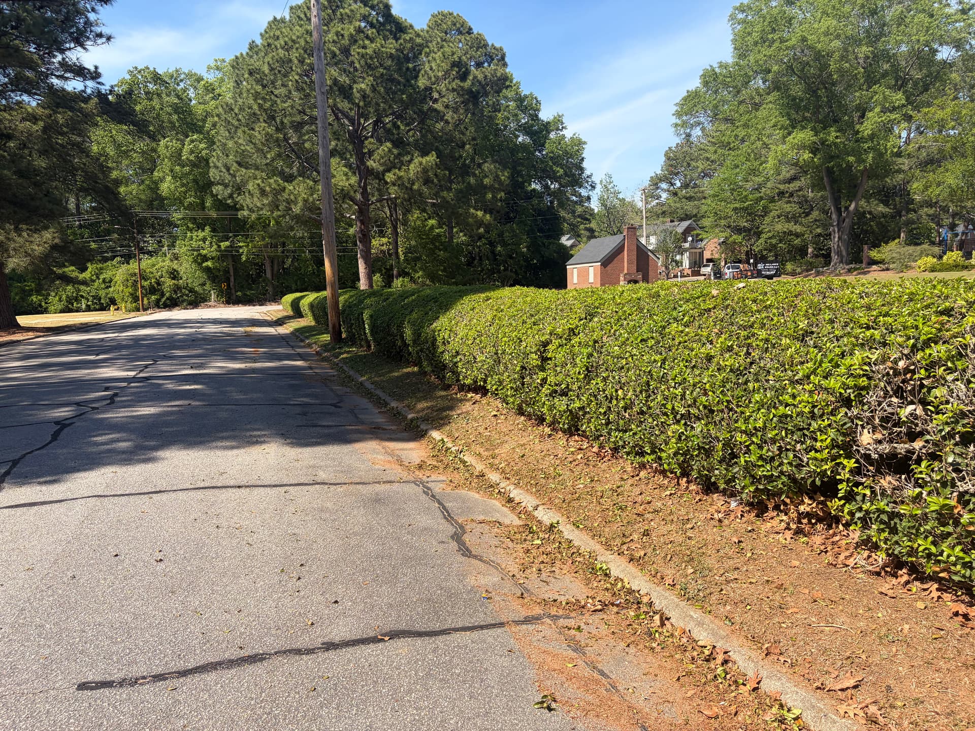 Gallery photos for Hedge Trimming in Wilson NC That Actually Makes a Difference: Image #2