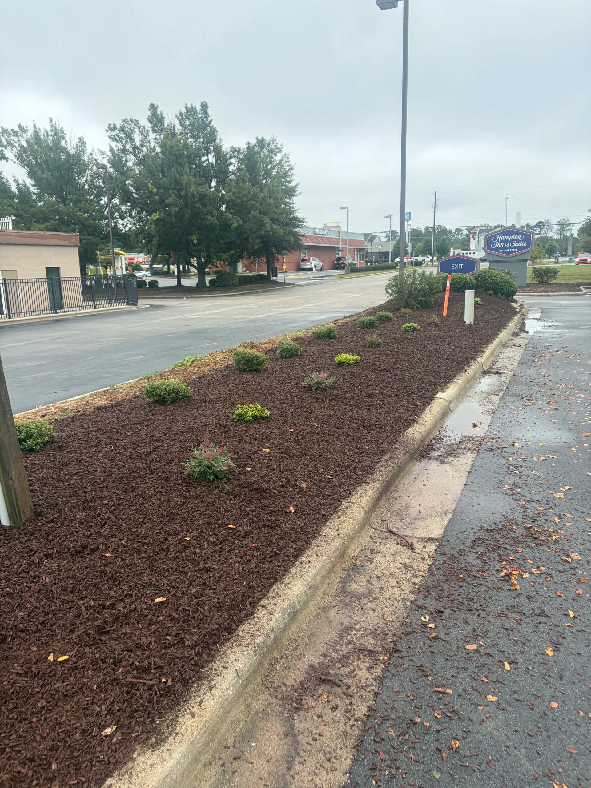 Gallery photos for Hotel Landscape Cleanup With Mulch and Fresh Plantings: Image #1