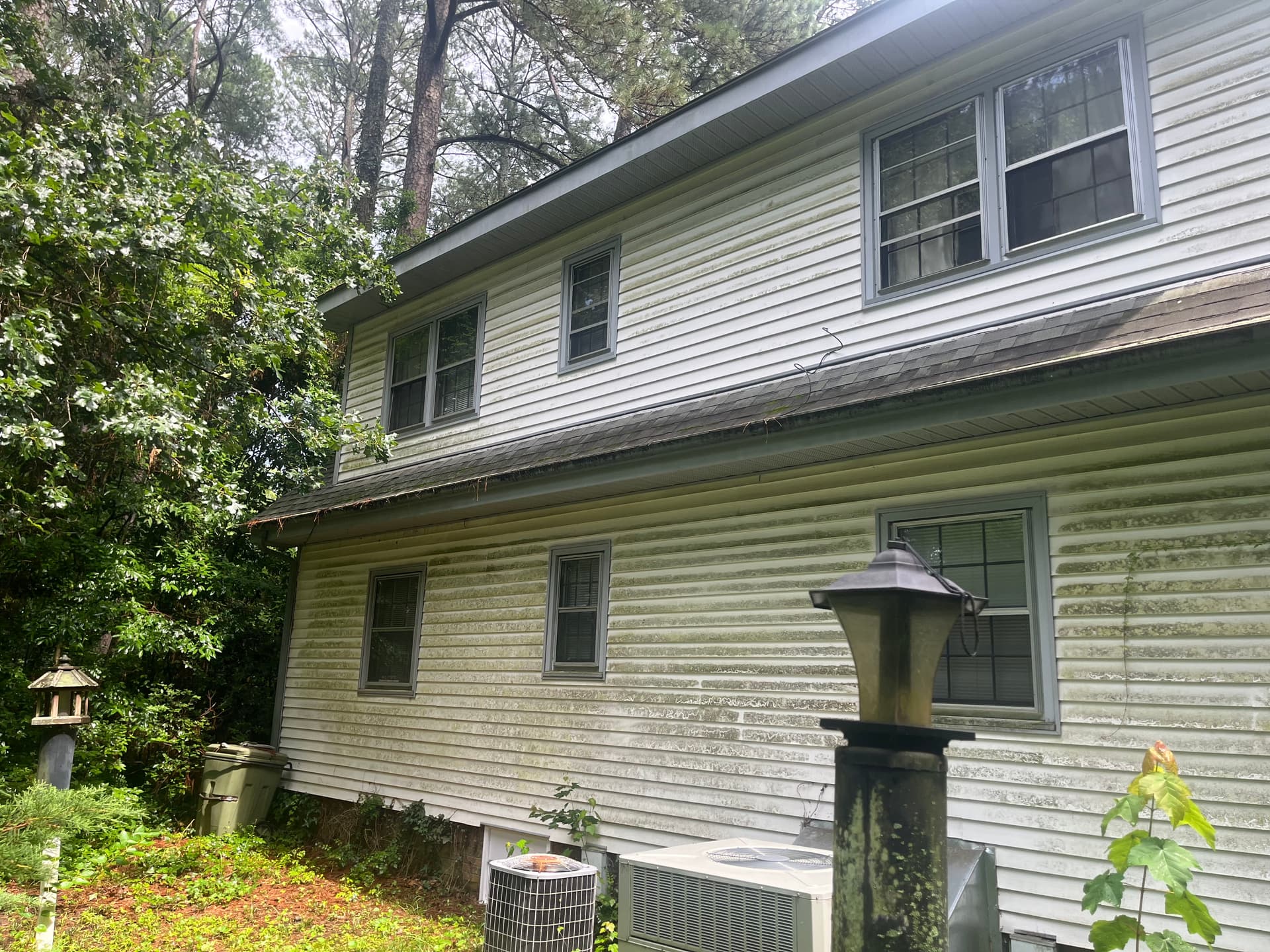 Gallery photos for Full Yard Cleanup and Soft Wash in Wilson NC: Image #5