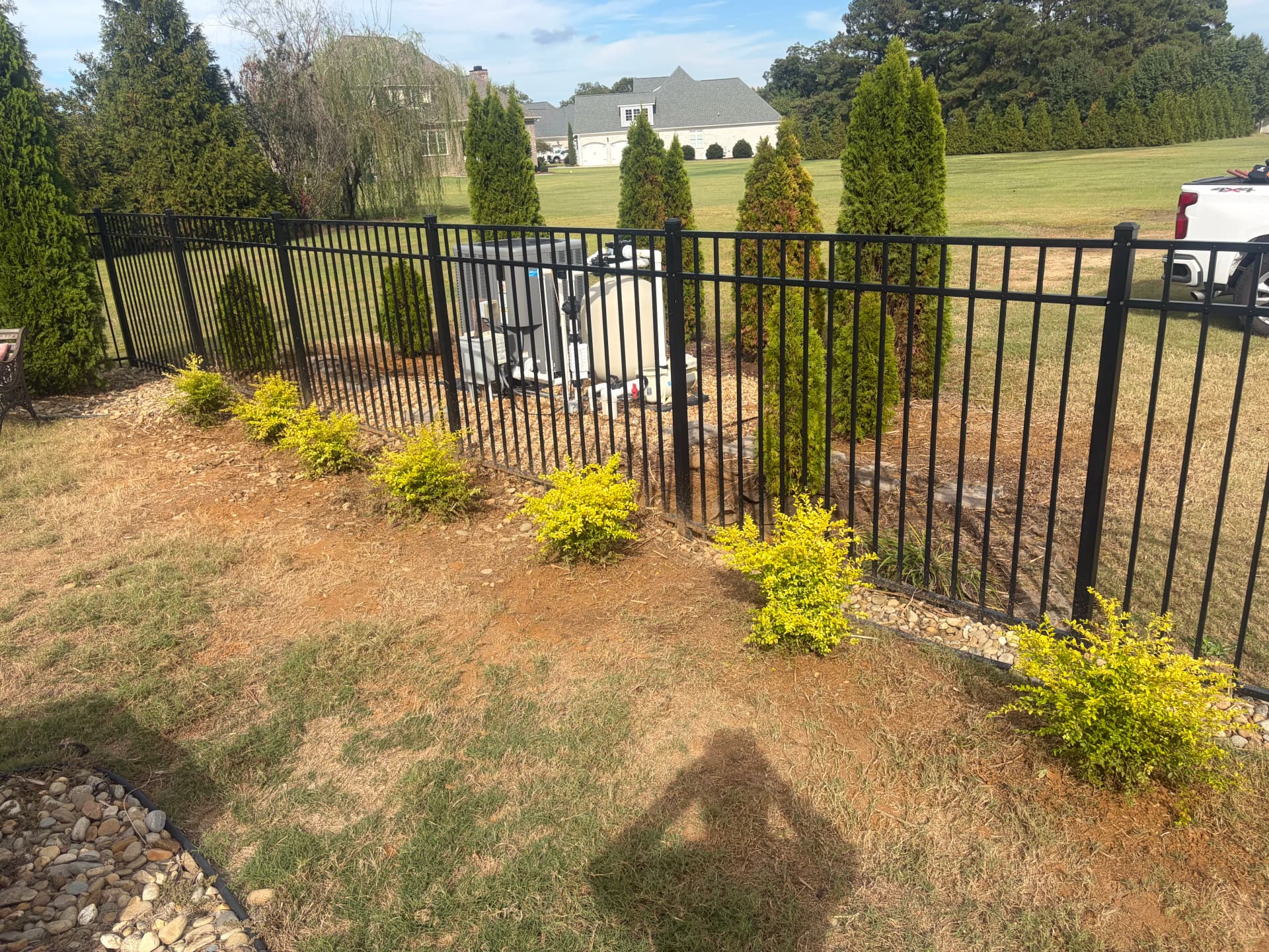 Gallery photos for Shrub Trimming and Planting Cleanup Around a Pool Backyard: Image #1