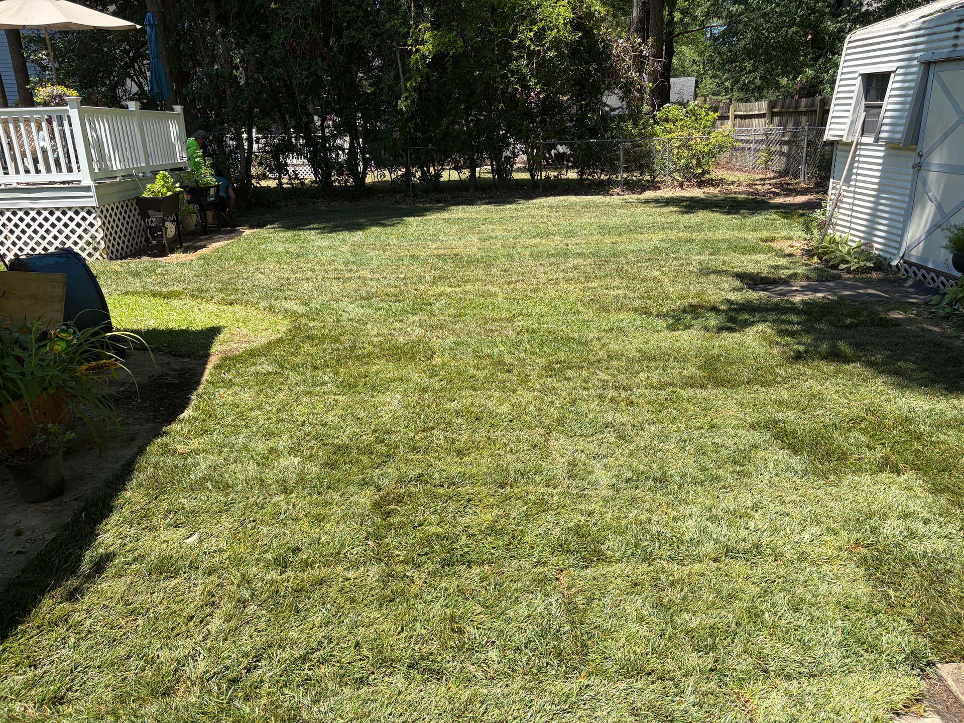 Gallery photos for First Sod Install Complete and We're Proud of This One: Image #4