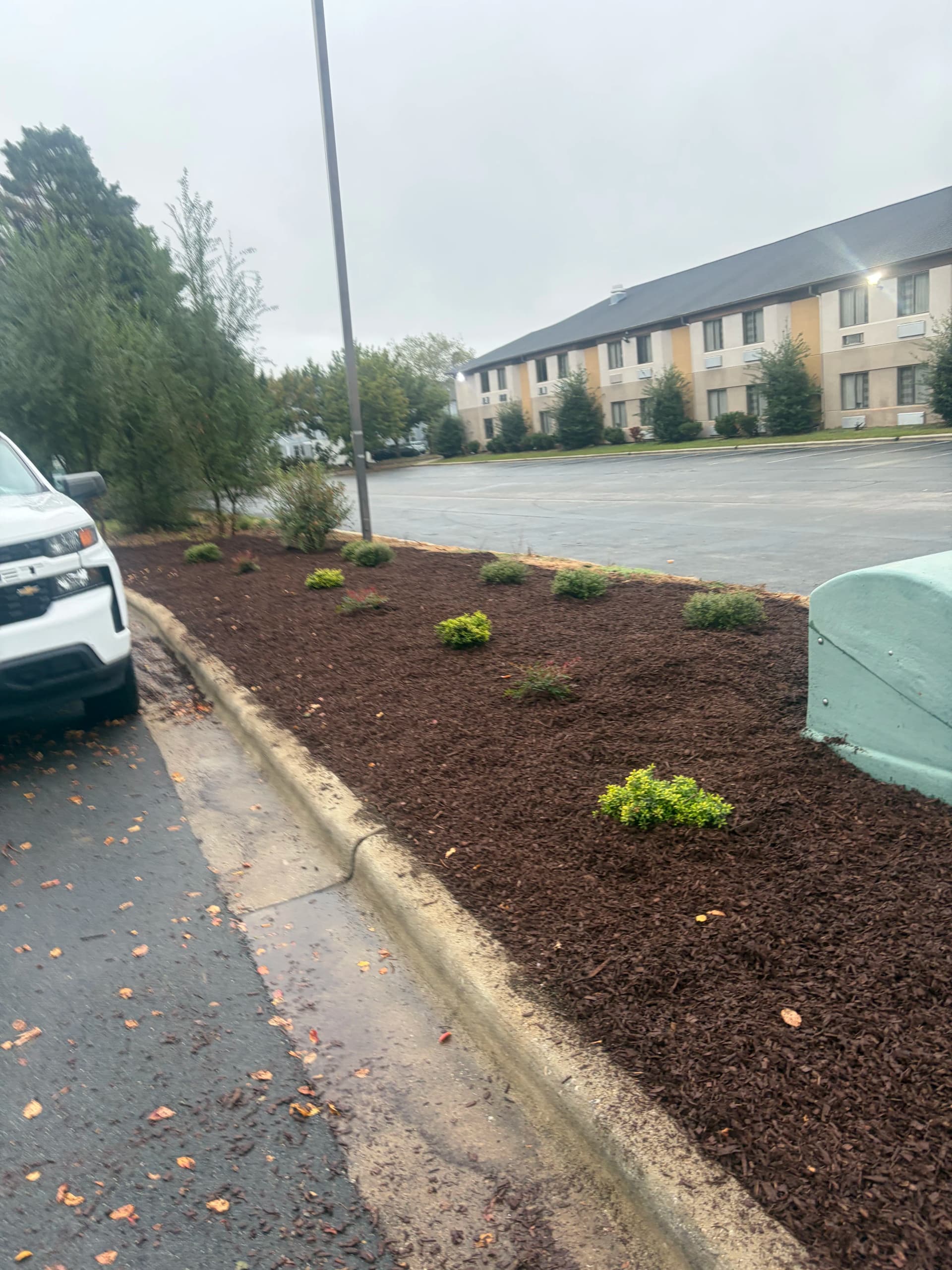 Gallery photos for Hotel Landscape Cleanup With Mulch and Fresh Plantings: Image #3