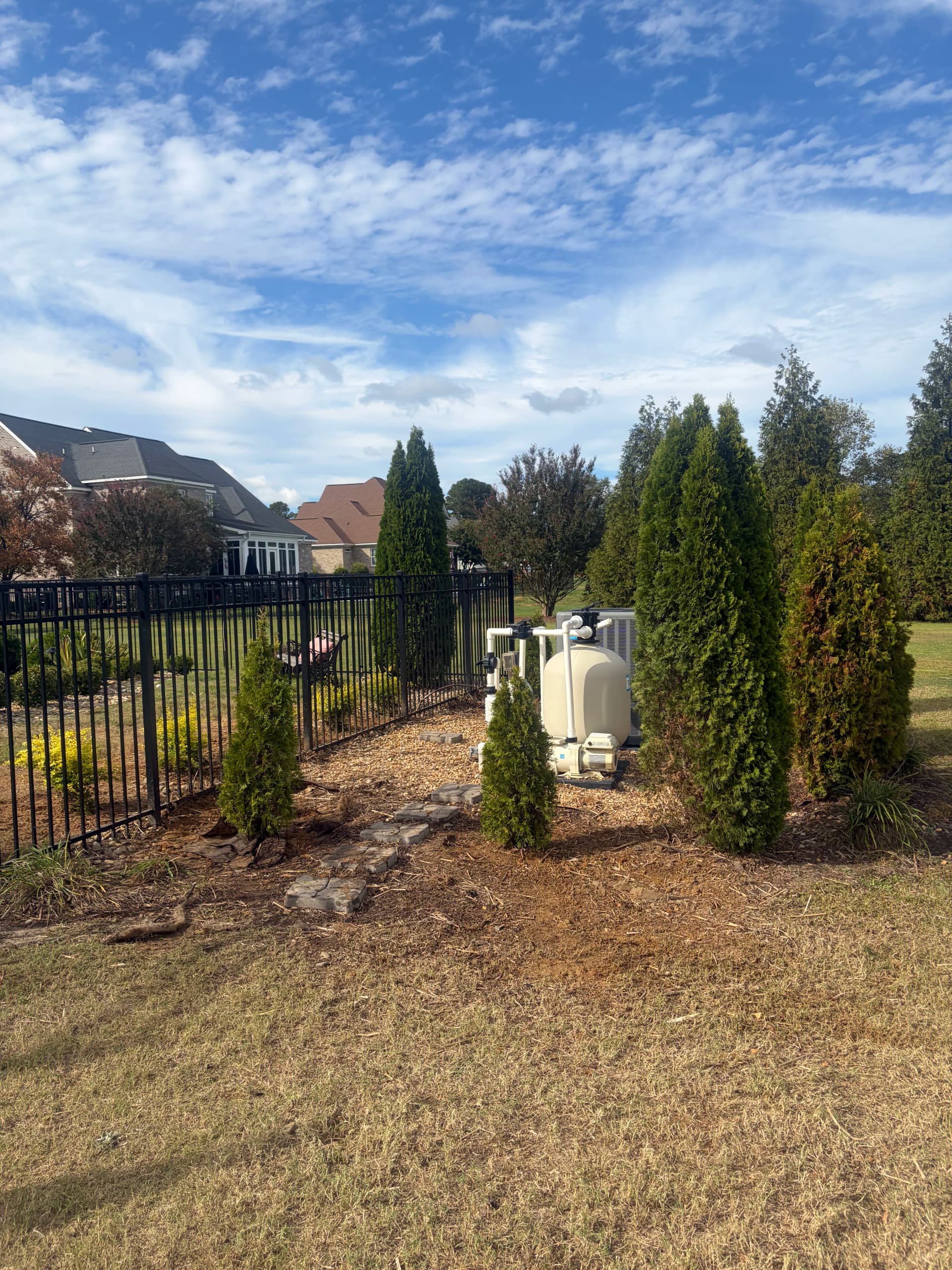 Gallery photos for Shrub Trimming and Planting Cleanup Around a Pool Backyard: Image #2