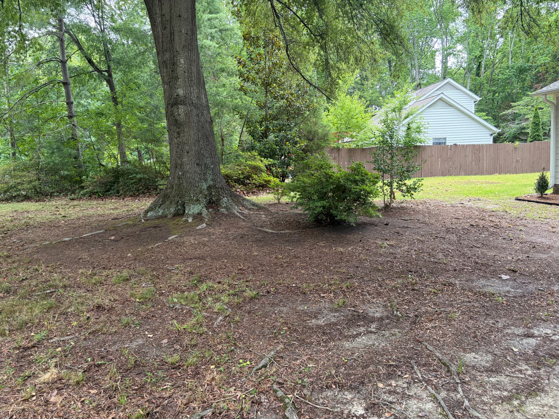 Gallery photos for Fresh Mulch, New Shrubs, and Clean Beds That Actually Look Good: Image #3