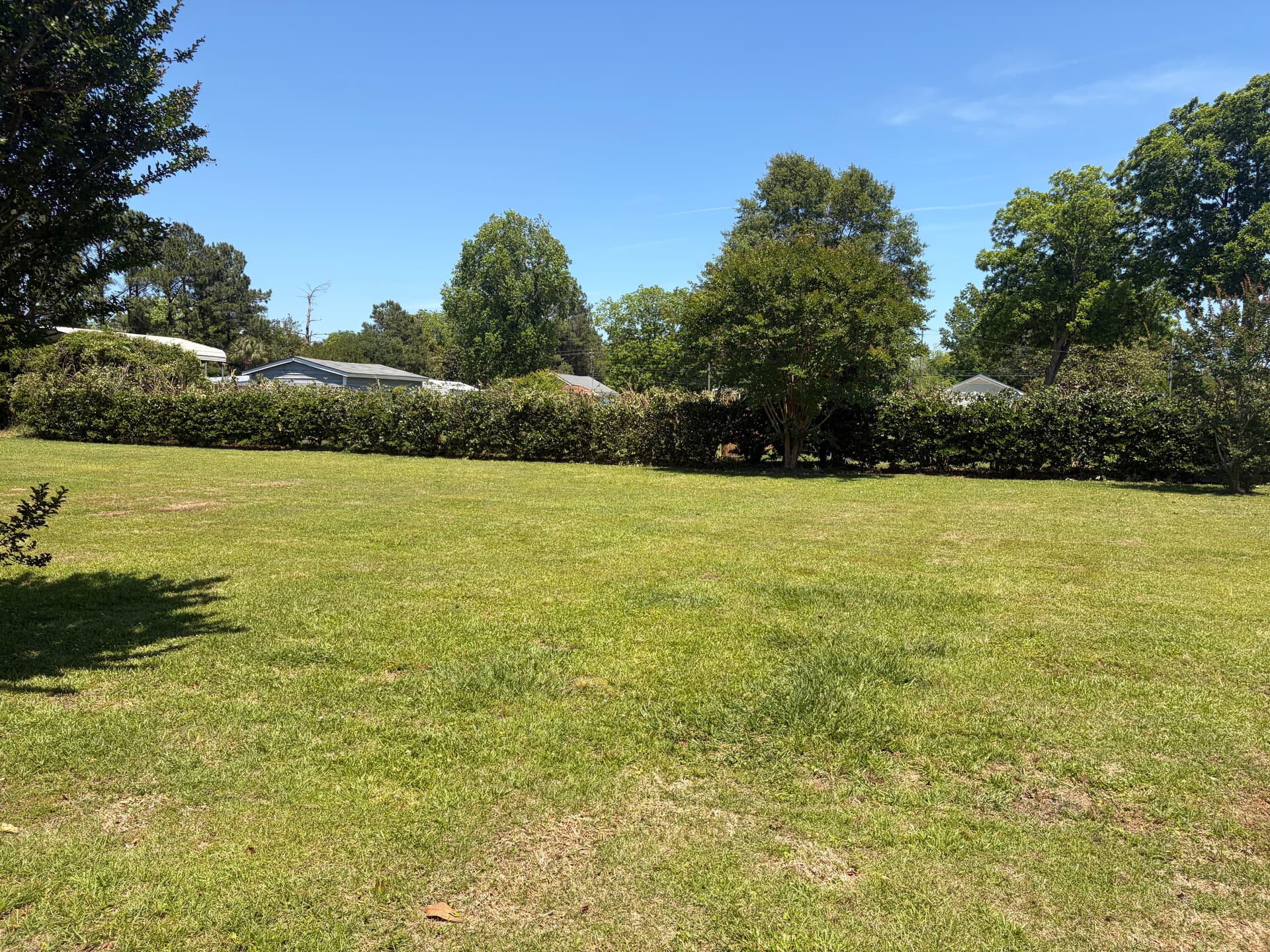 Gallery photos for Shrub Trimming and Fresh Pine Straw Cleanup in Castle Hayne: Image #3