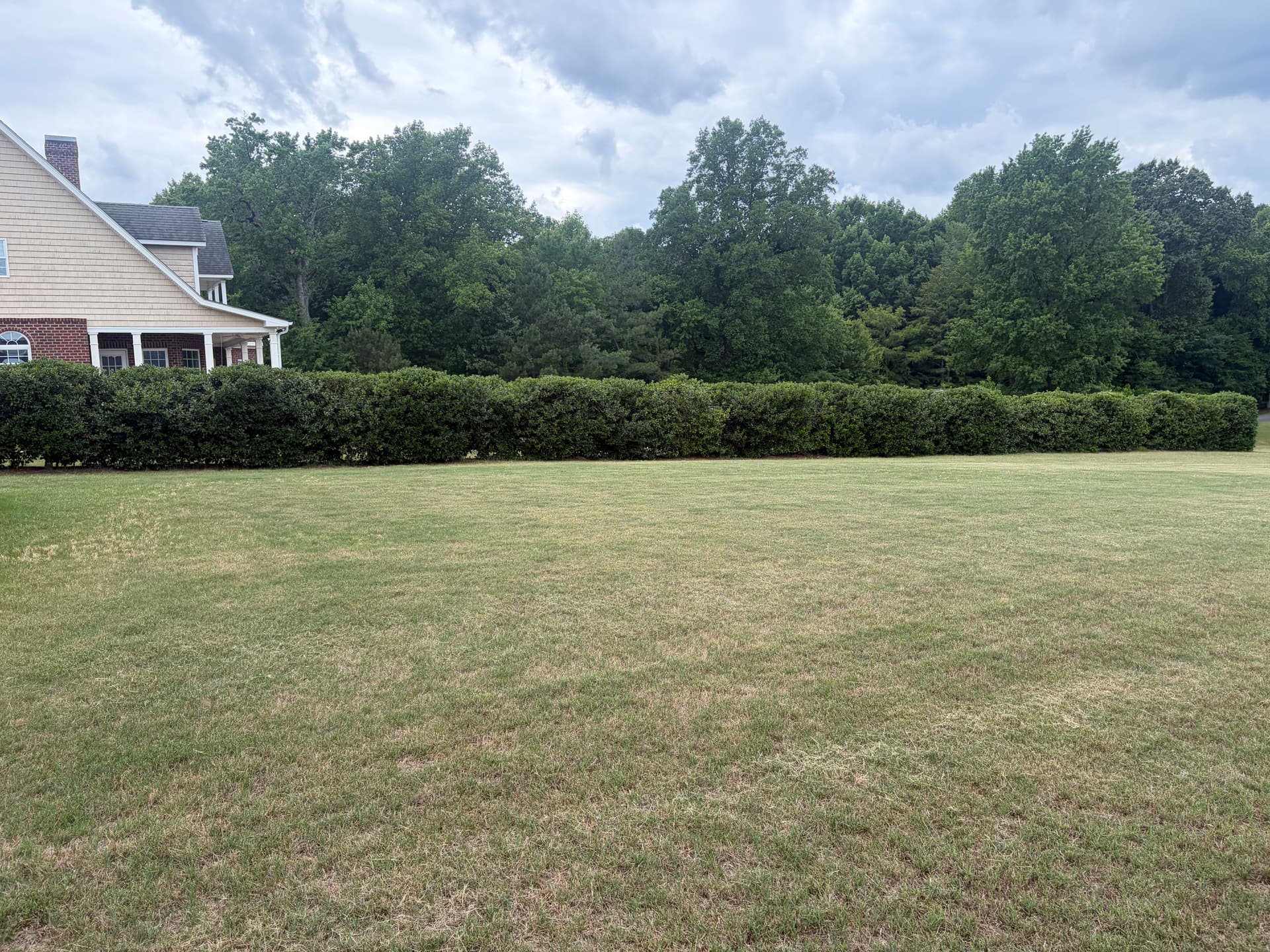 Gallery photos for Shrub Trimming That Actually Makes Your Home Look Sharp: Image #9