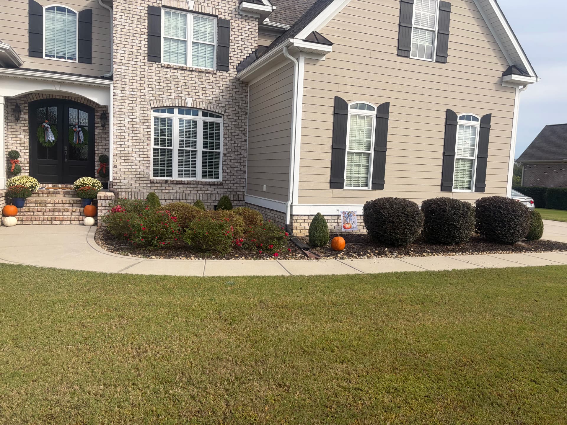 Gallery photos for Shrub Trimming and Planting Cleanup Around a Pool Backyard: Image #4