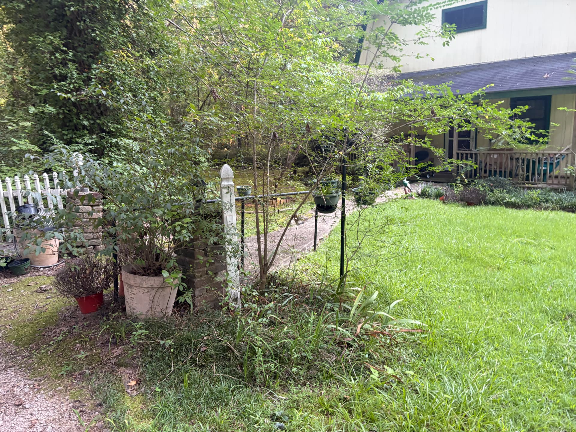 Gallery photos for Wooded Property Cleanup Gets a Serious Fresh Start: Image #4