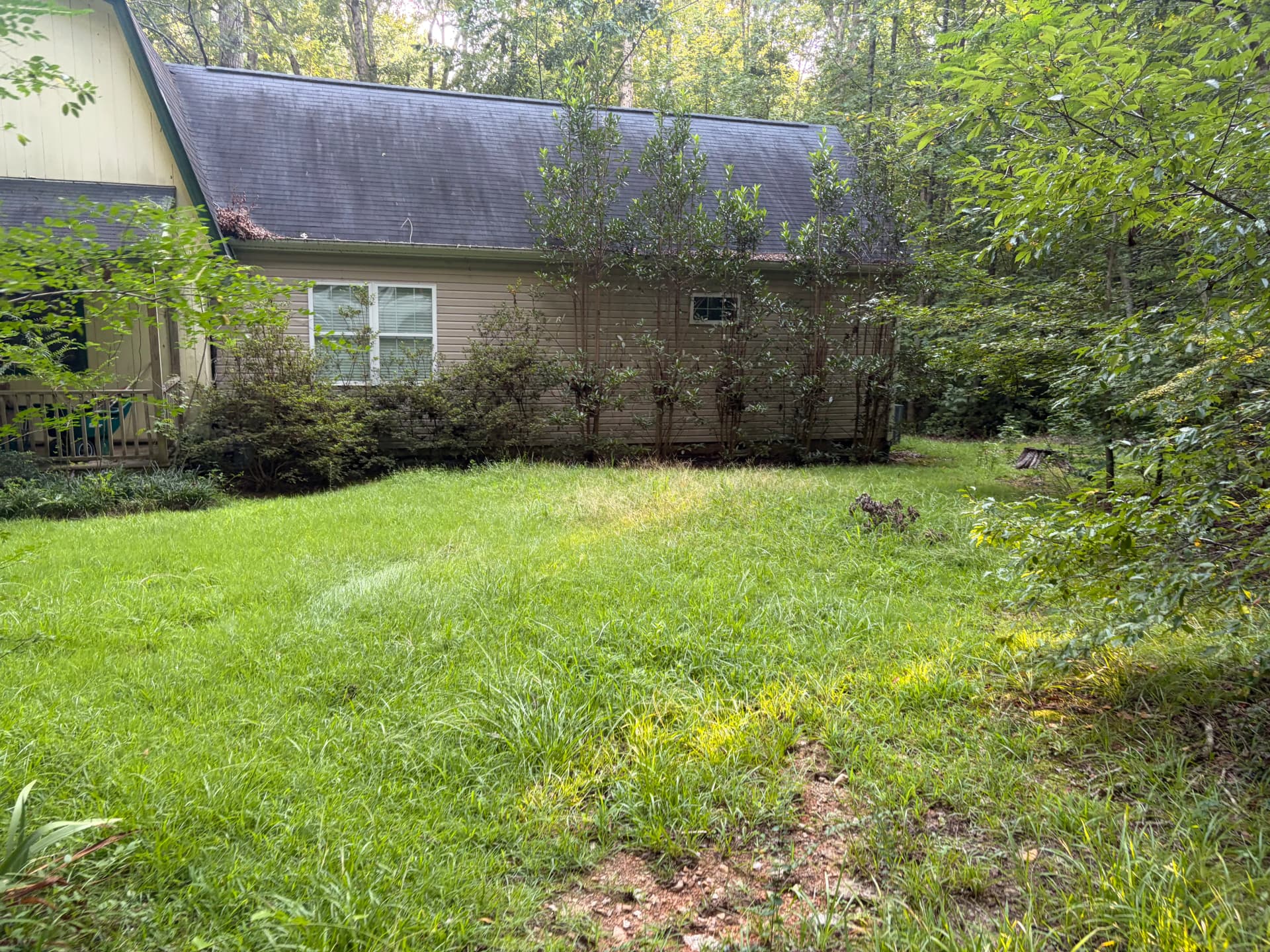 Gallery photos for Wooded Property Cleanup Gets a Serious Fresh Start: Image #3