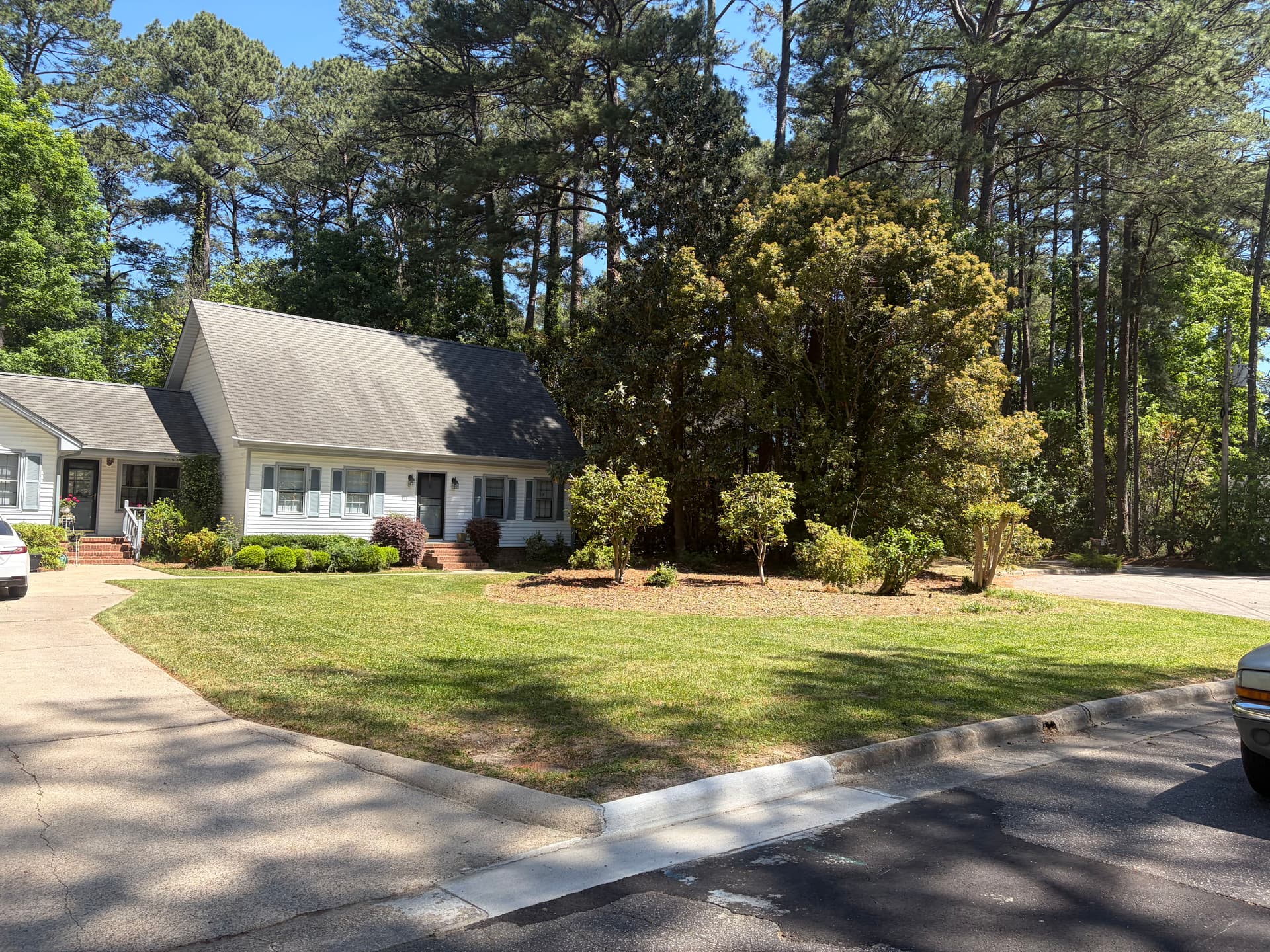 Gallery photos for Full Yard Cleanup and Soft Wash in Wilson NC: Image #1