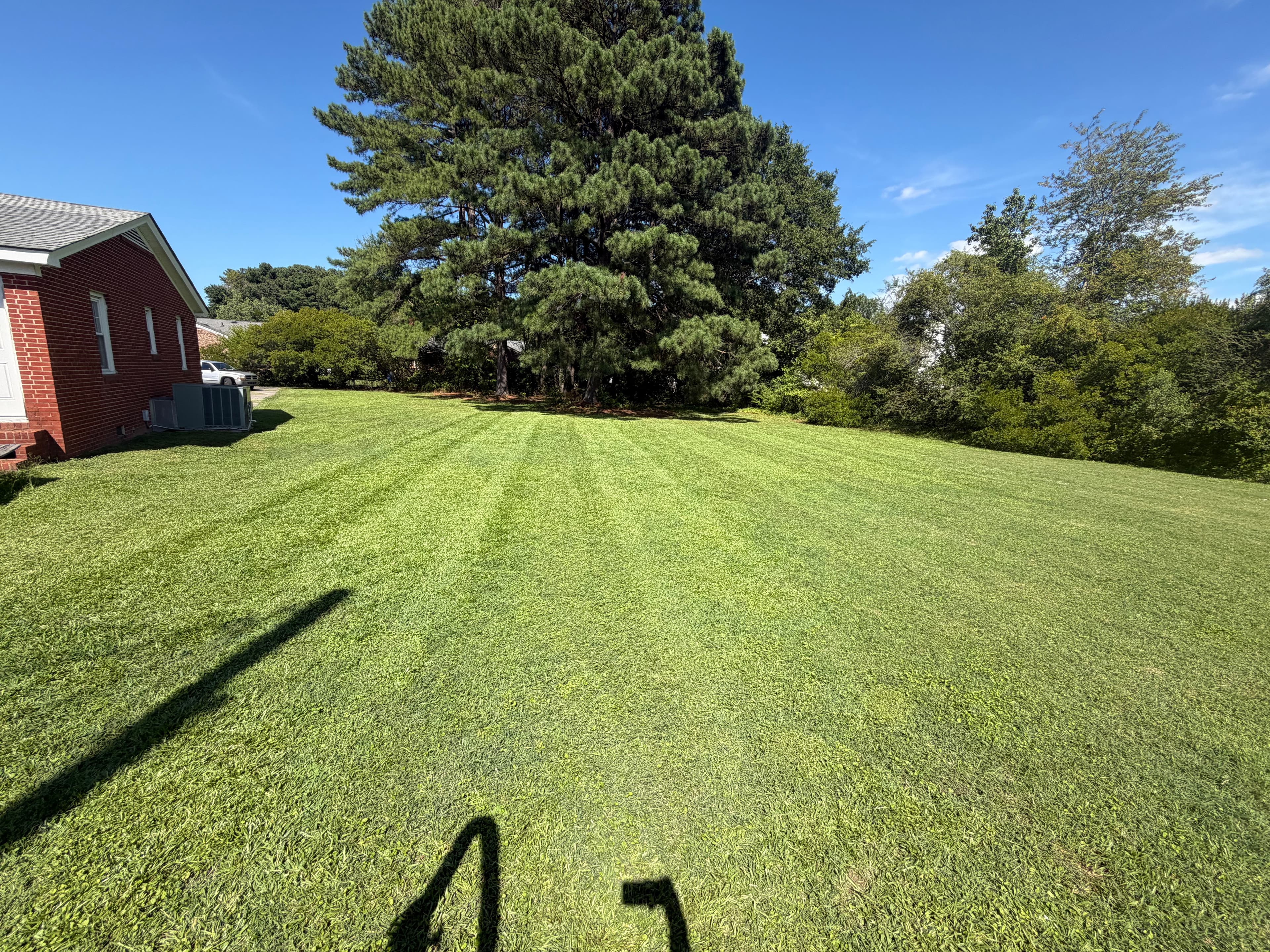 Project Commercial Lawn Mowing and Bush Trimming Done Right image