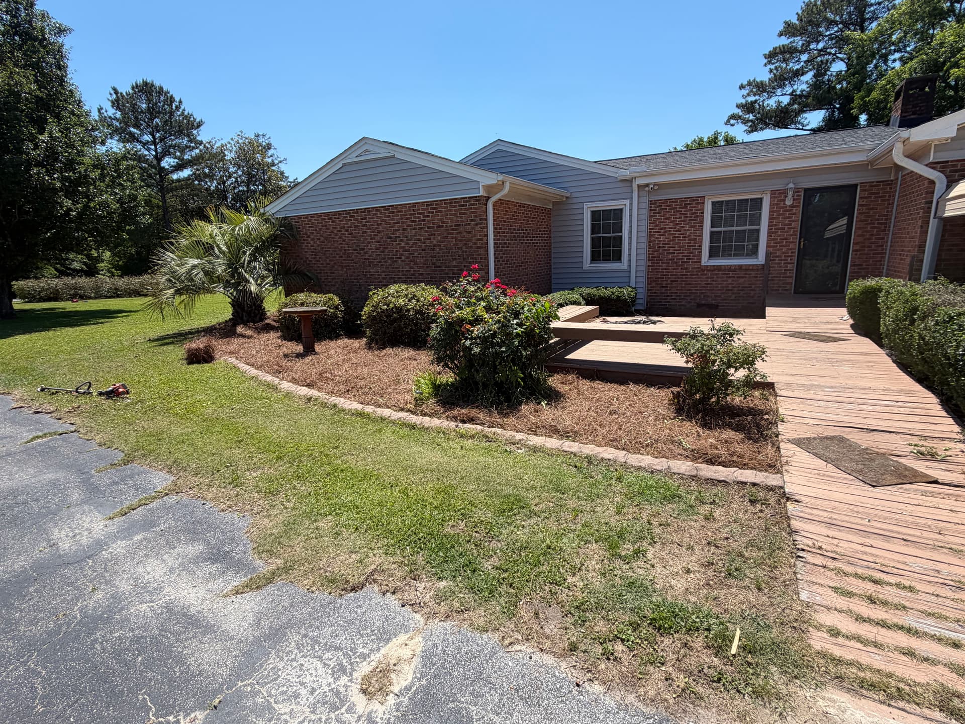 Gallery photos for Shrub Trimming and Fresh Pine Straw Cleanup in Castle Hayne: Image #1